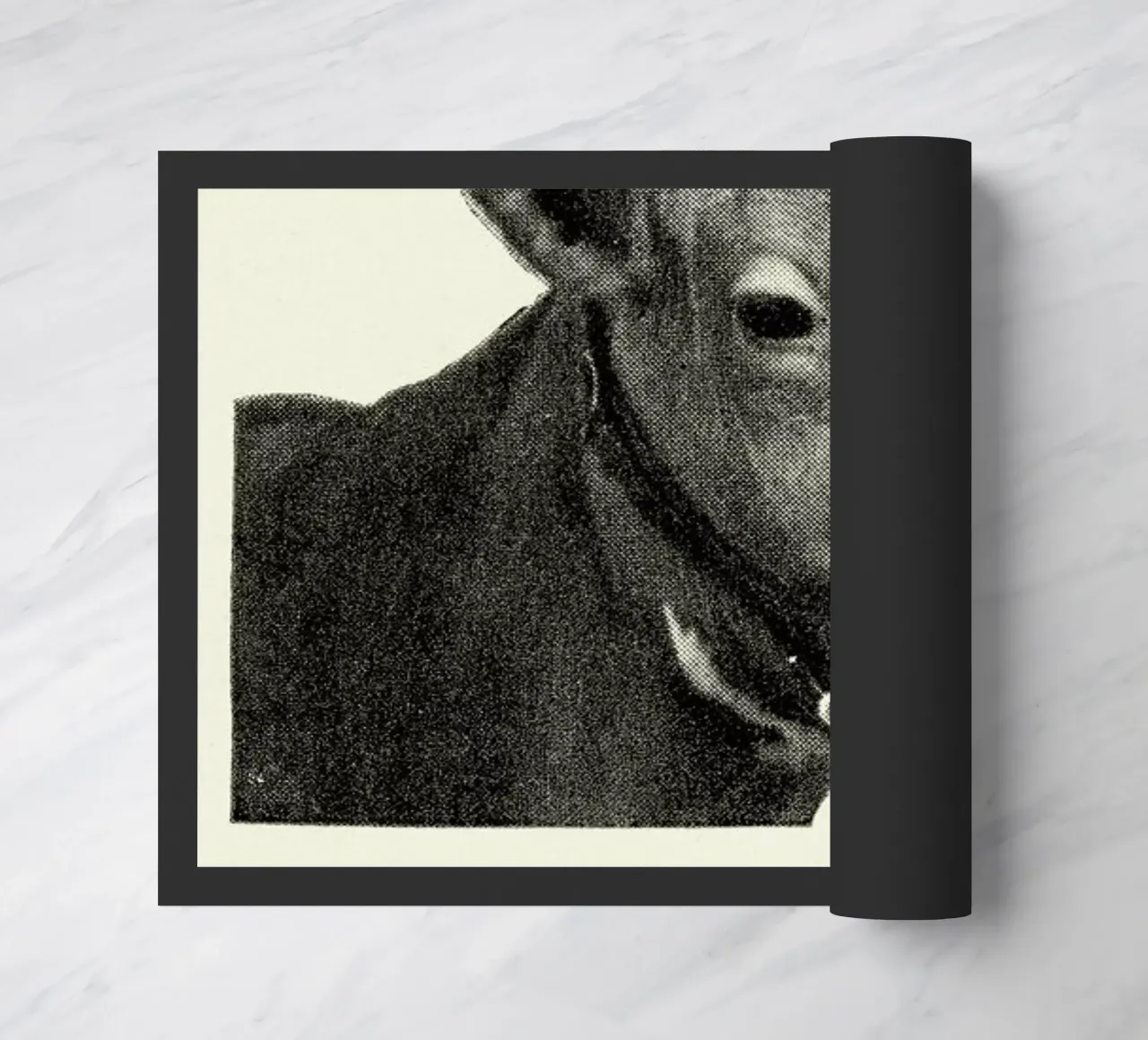 First Lady zerbino da Flora & Fauna