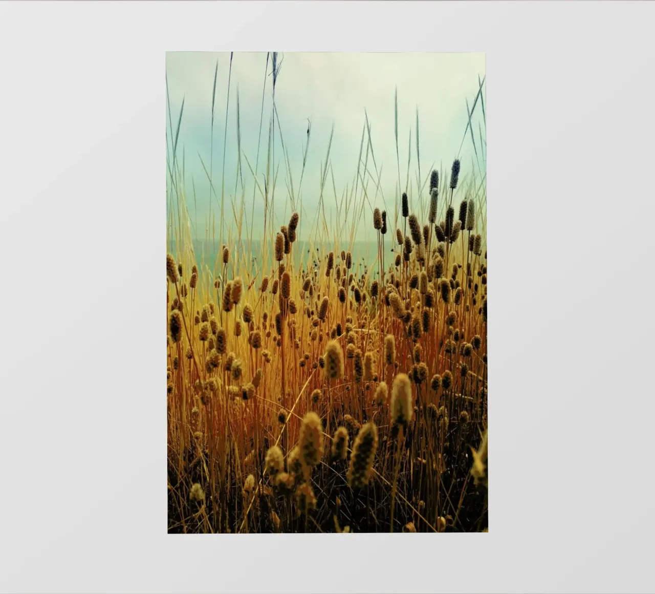 Golden Hours telo in pvc da Angelo Cerantola