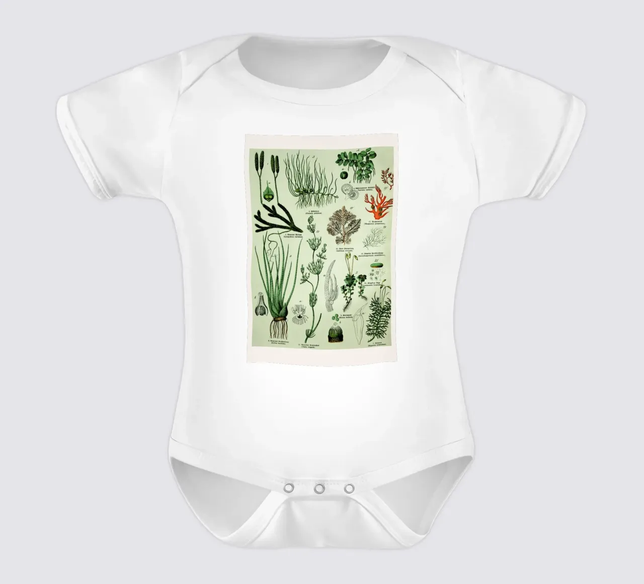 Auf Dem Grünen Zweig body neonato maniche corte da Flora & Fauna