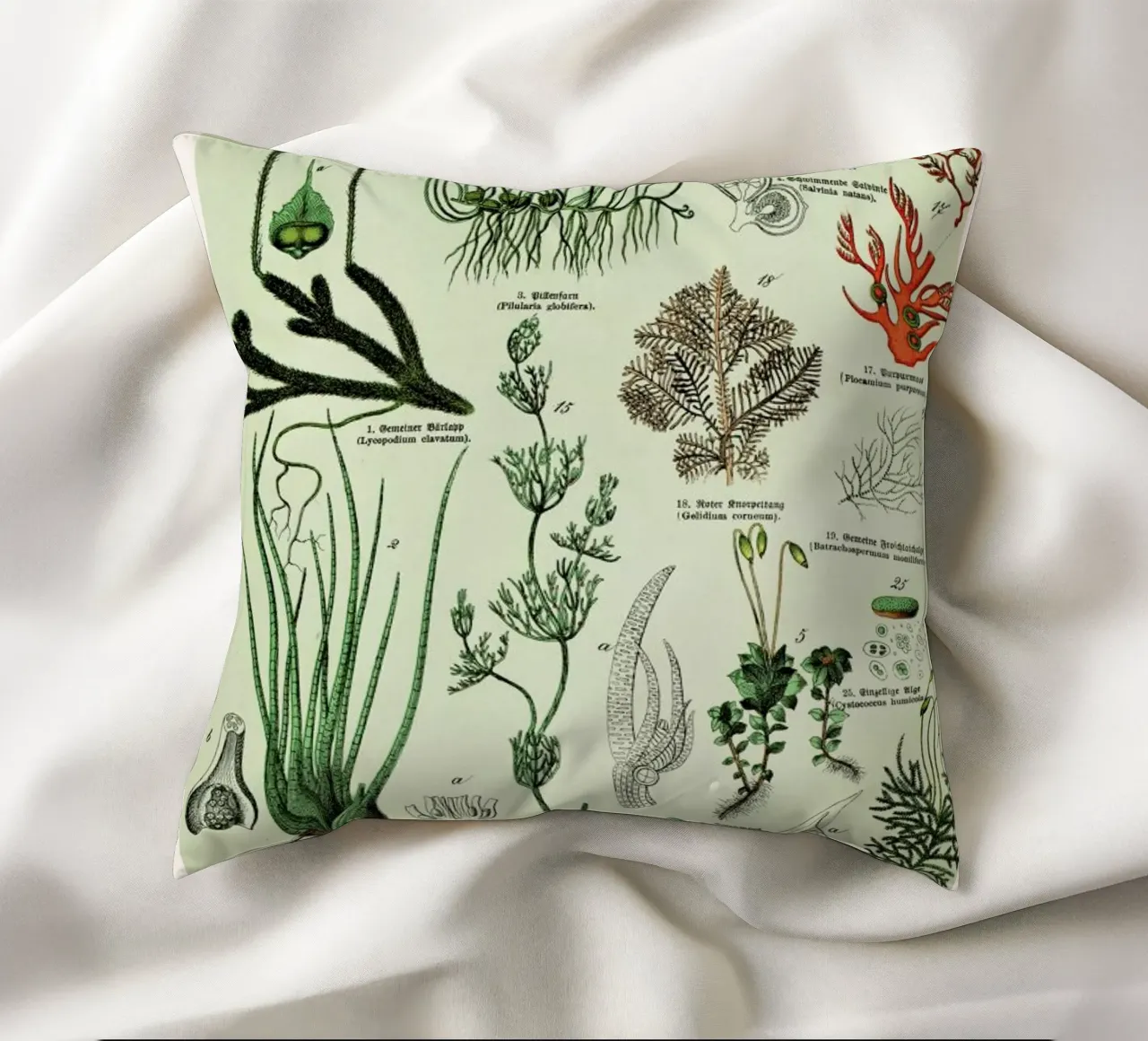 Auf Dem Grünen Zweig decorative cushion by Flora & Fauna