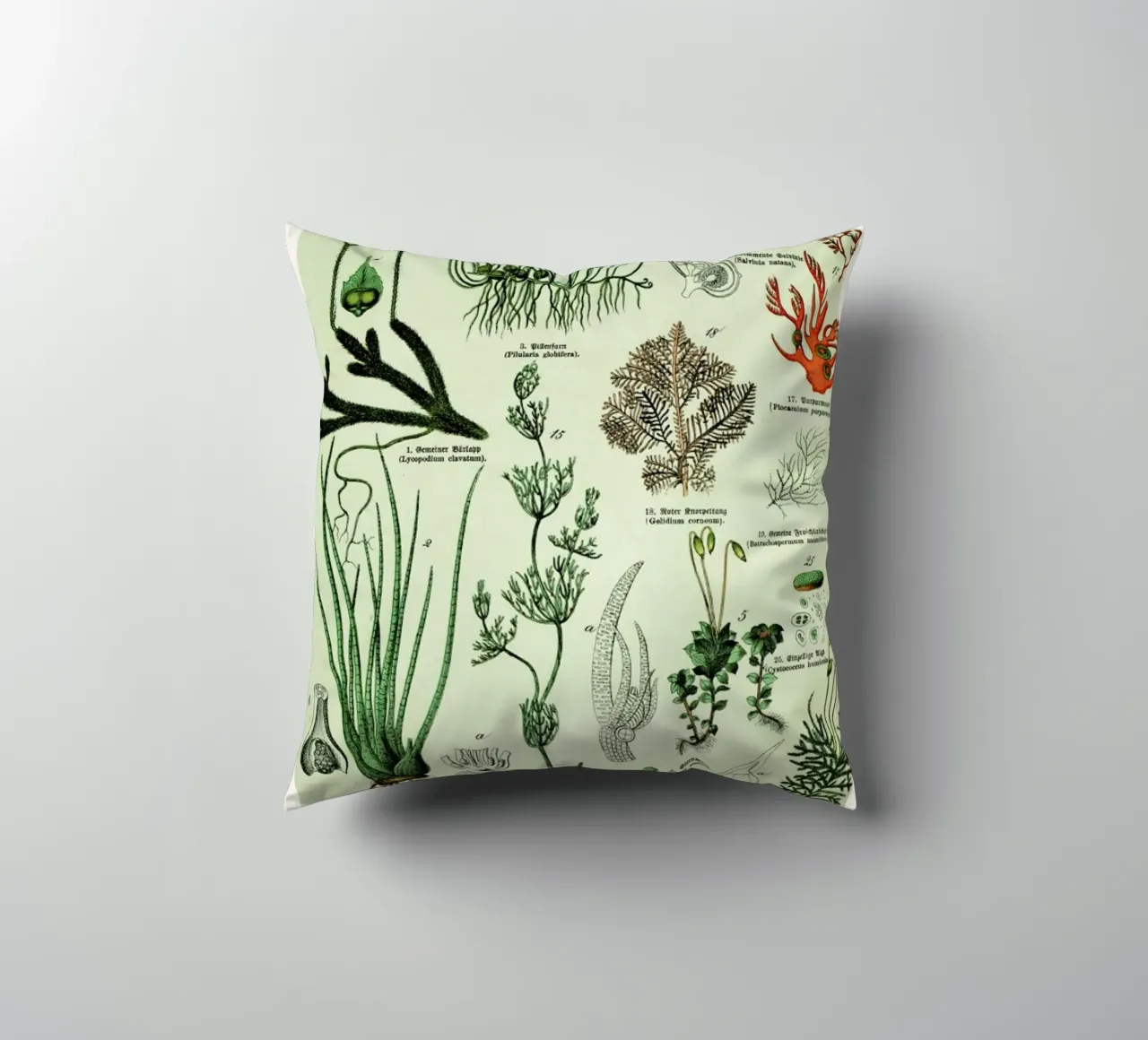 Auf Dem Grünen Zweig decorative cushion by Flora & Fauna