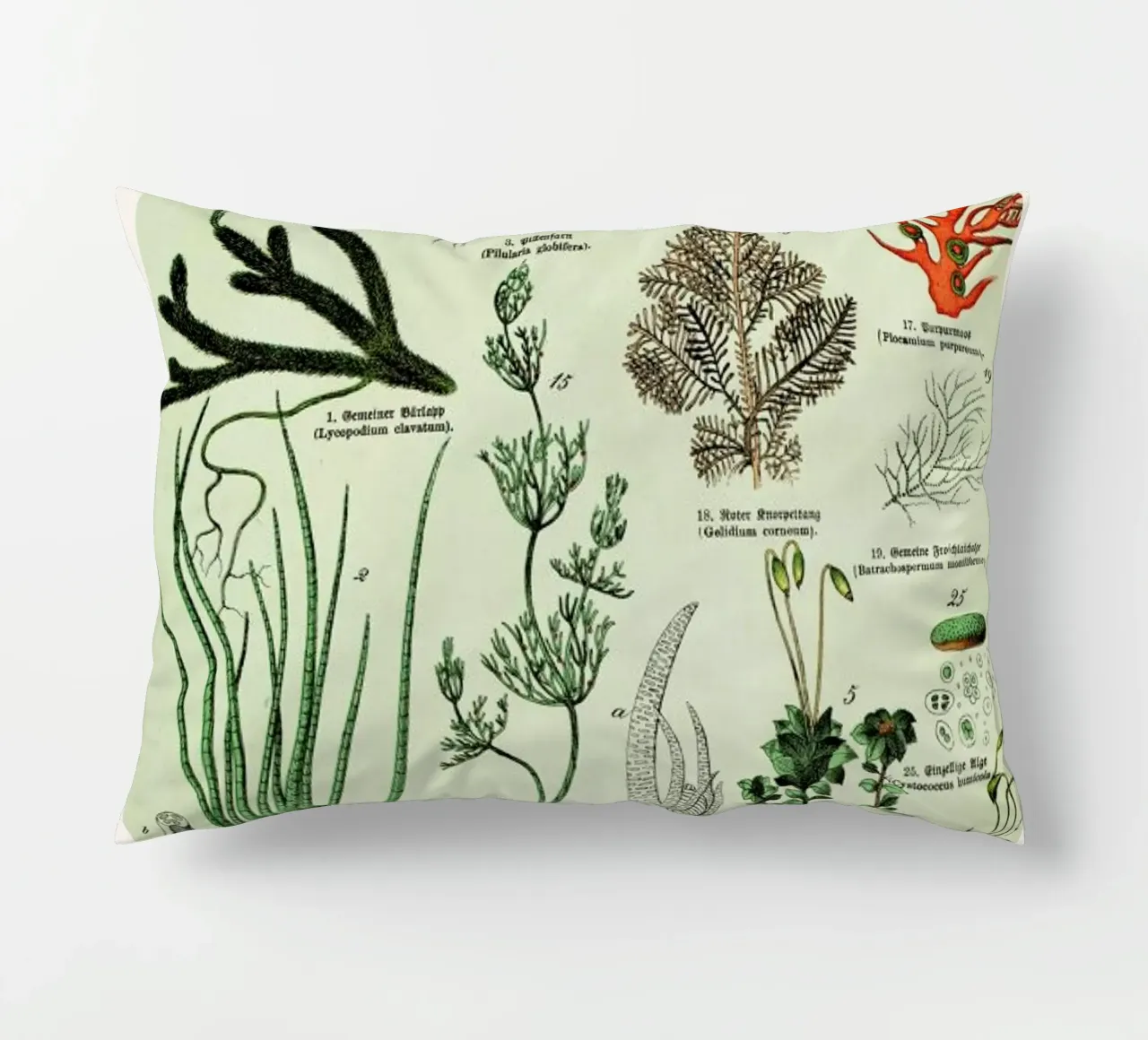 Auf Dem Grünen Zweig decorative cushion by Flora & Fauna
