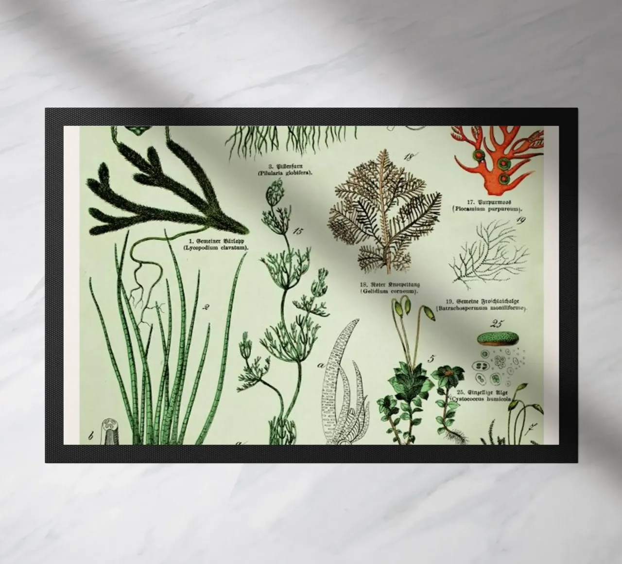 Auf Dem Grünen Zweig doormat by Flora & Fauna