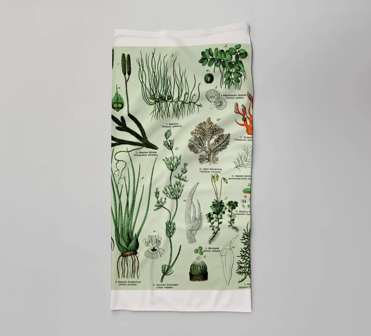 Auf Dem Grünen Zweig asciugamano da bagno da Flora & Fauna