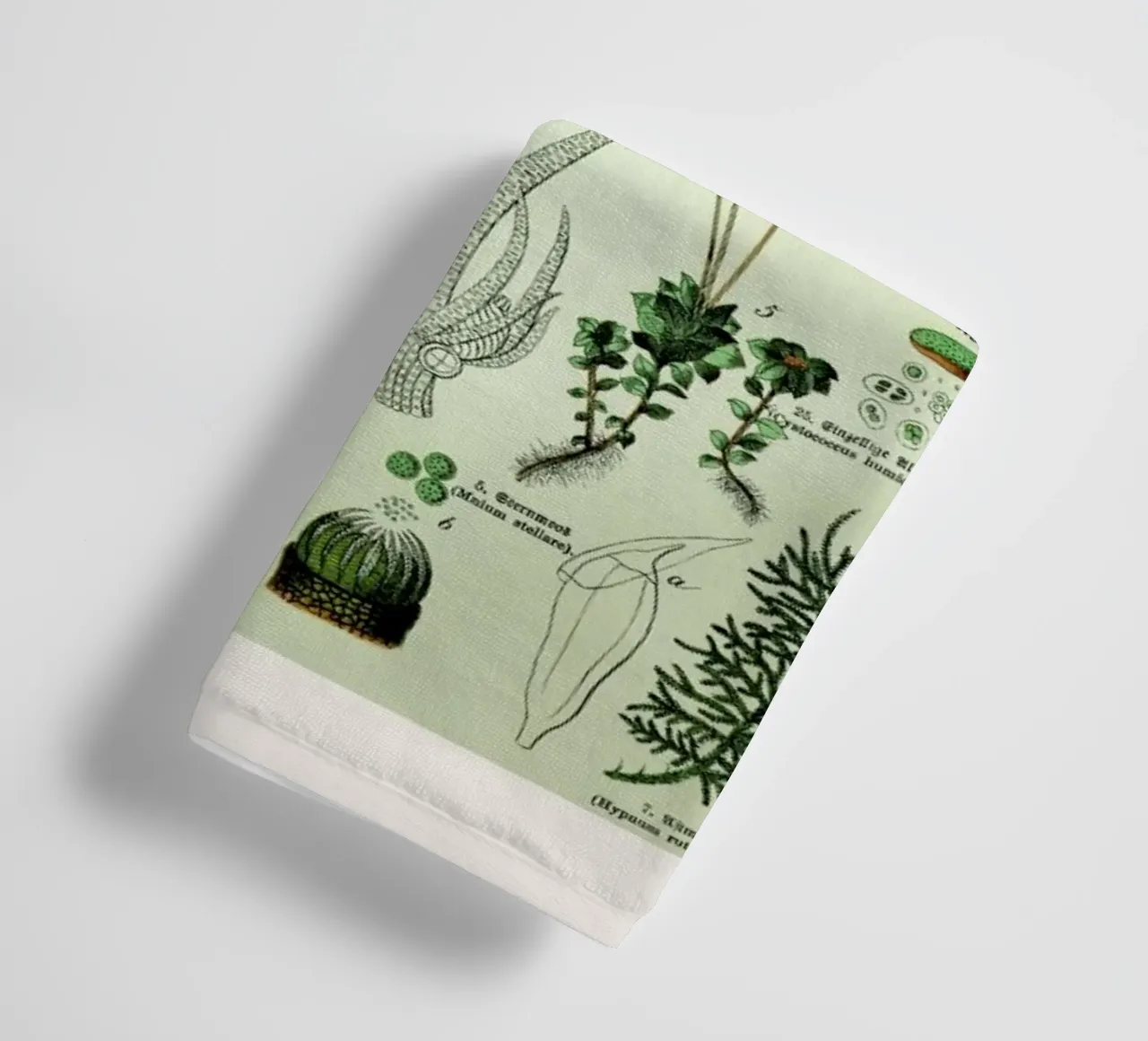 Auf Dem Grünen Zweig asciugamano da bagno da Flora & Fauna