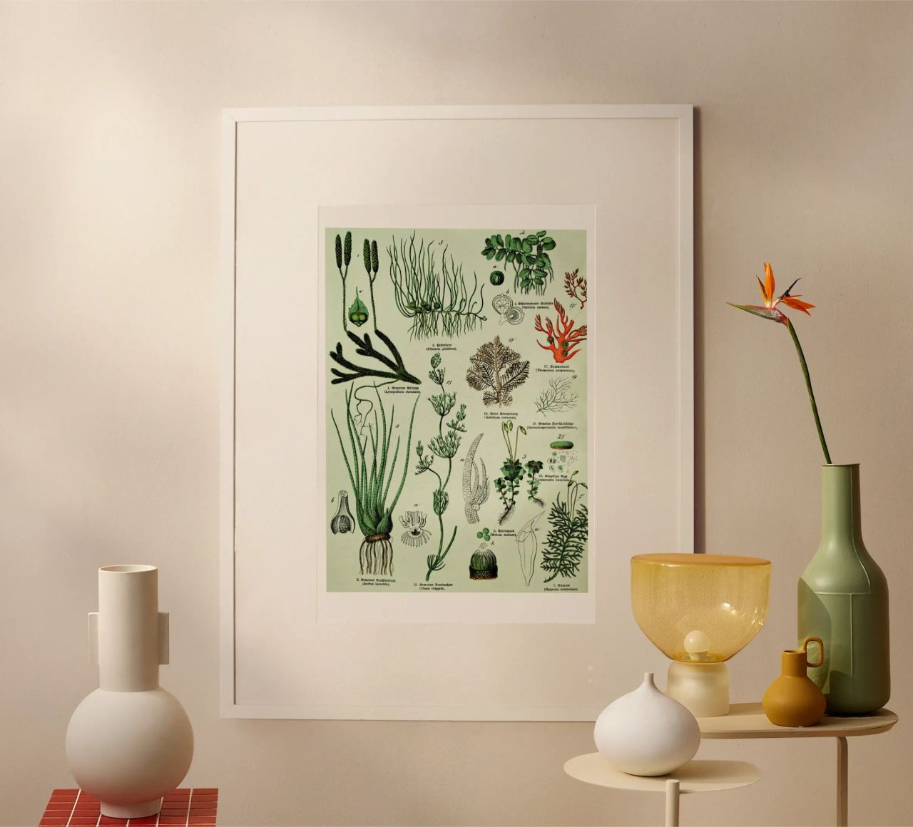 Auf Dem Grünen Zweig poster de Flora & Fauna