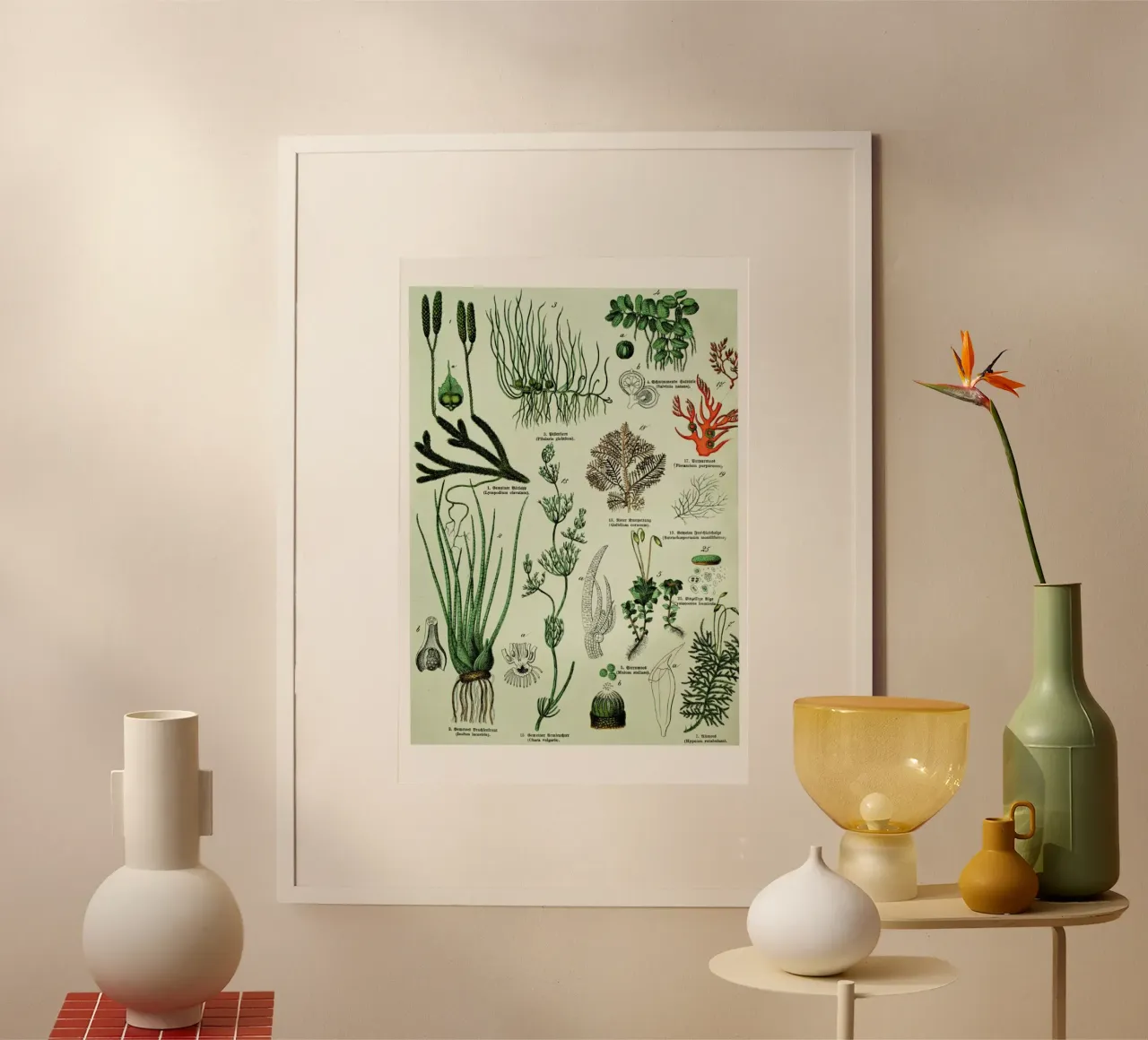 Auf Dem Grünen Zweig carta hahnemühle da Flora & Fauna