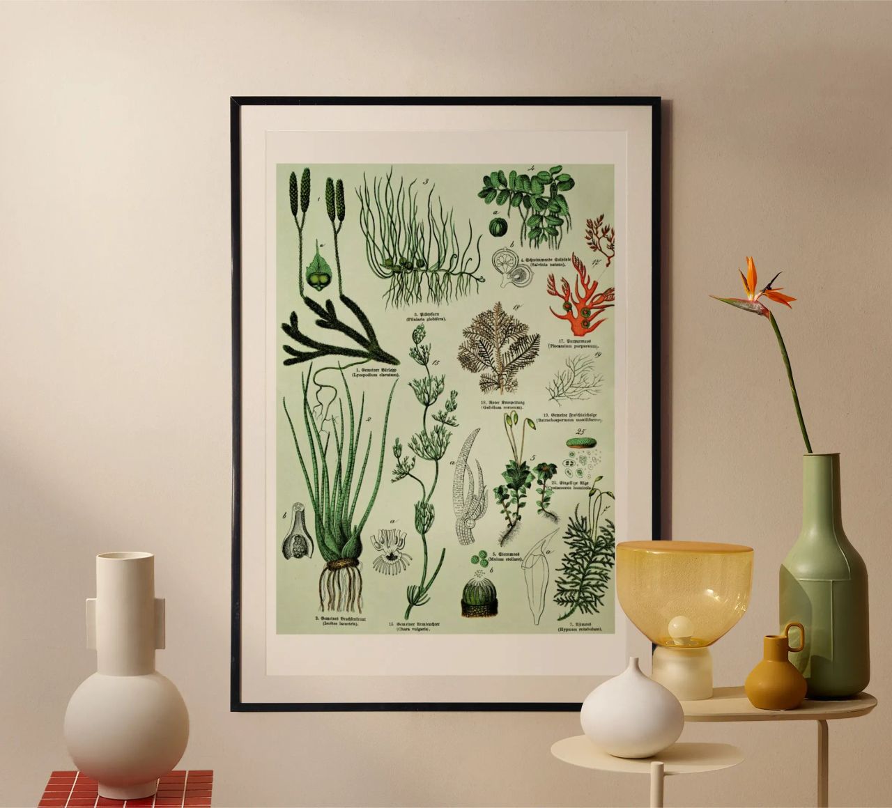 Auf Dem Grünen Zweig poster de Flora & Fauna
