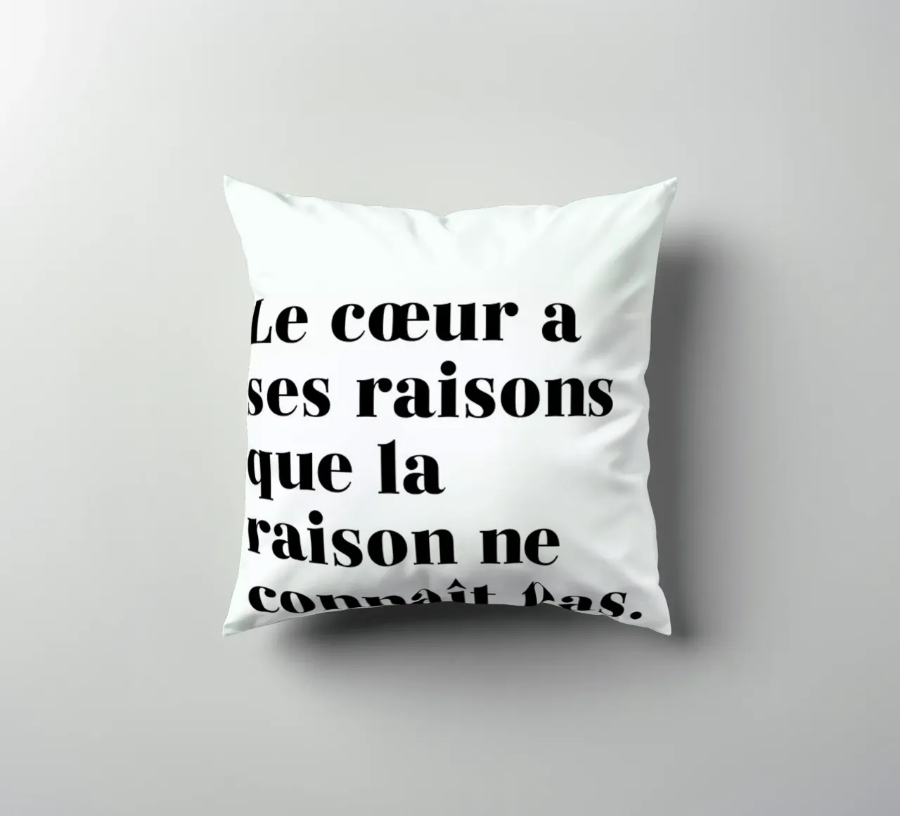 Le cœur a ses raisons cuscino da typed