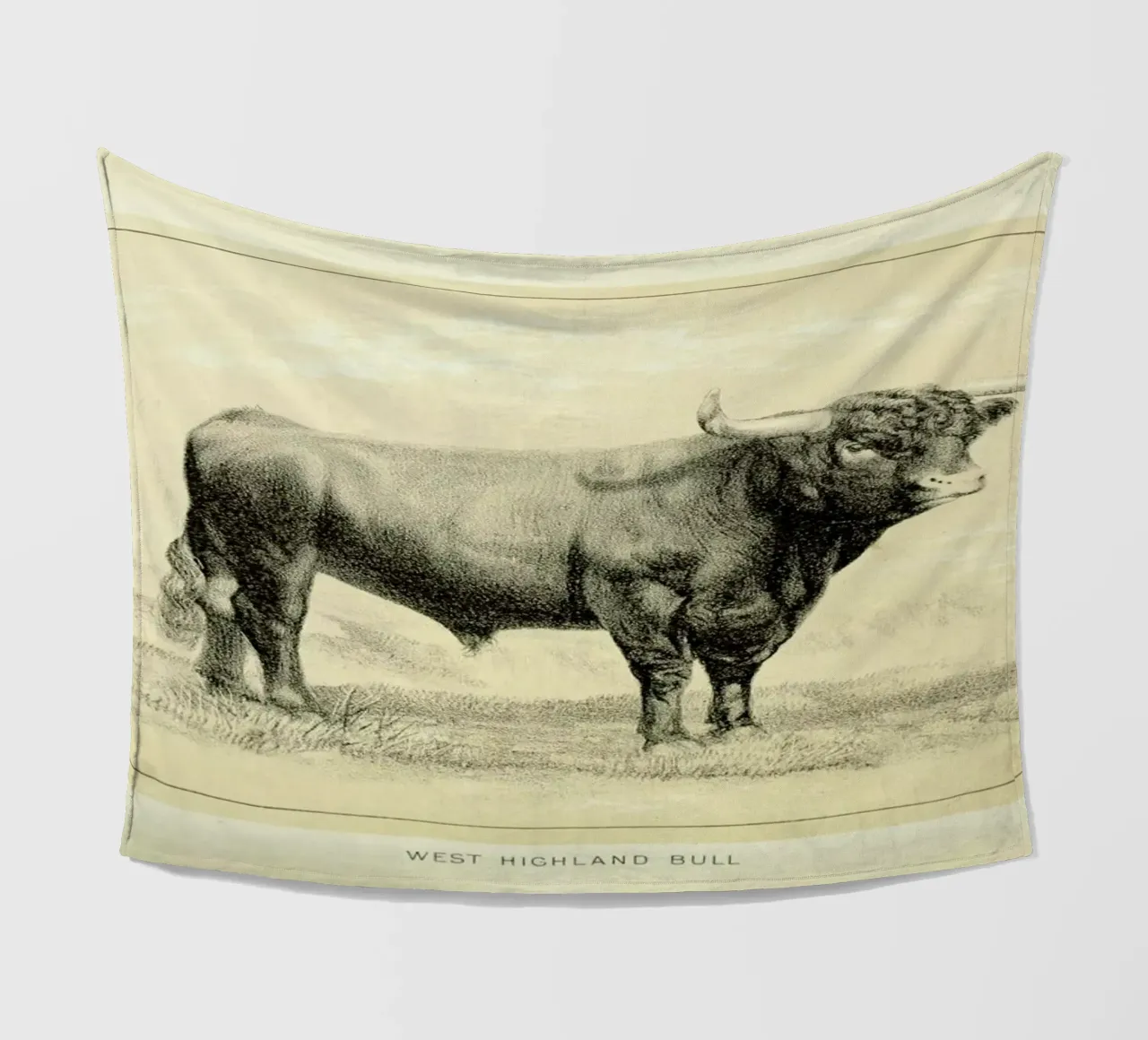 West Highland Bull fleece blanket by Flora & Fauna