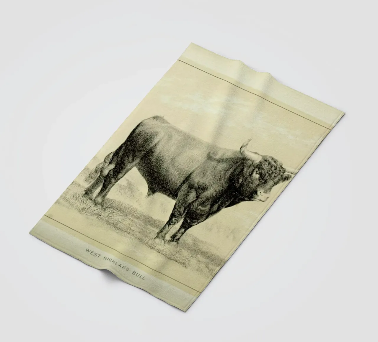 West Highland Bull fleece blanket by Flora & Fauna