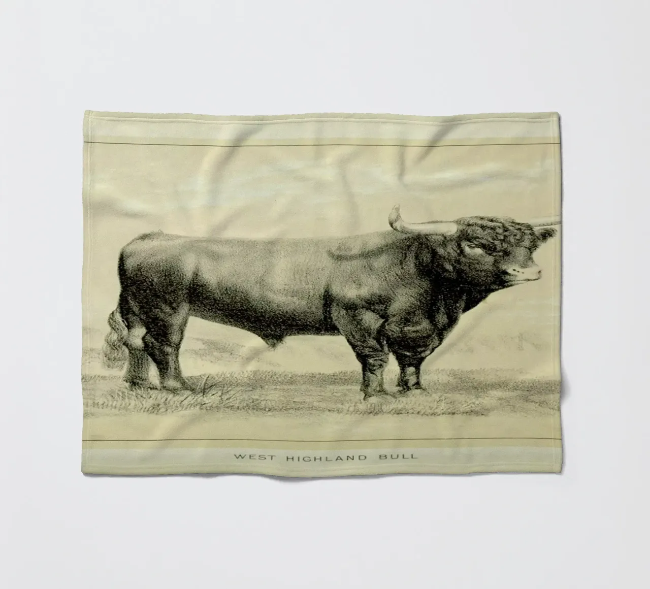 West Highland Bull fleece blanket by Flora & Fauna