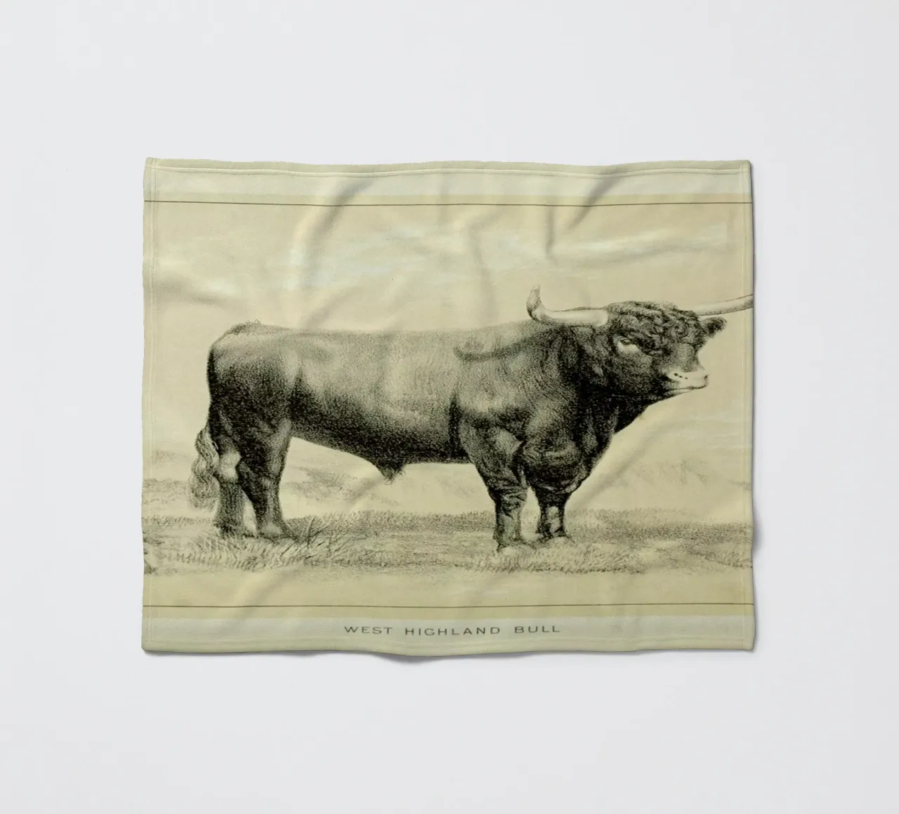 West Highland Bull fleece blanket by Flora & Fauna