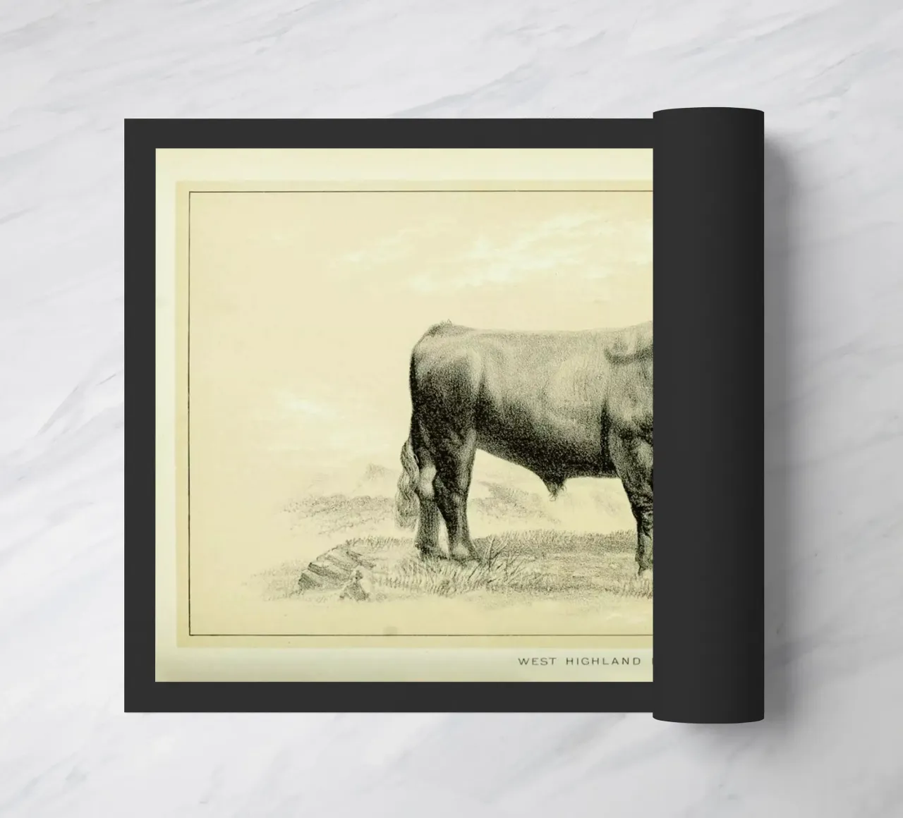 West Highland Bull doormat by Flora & Fauna