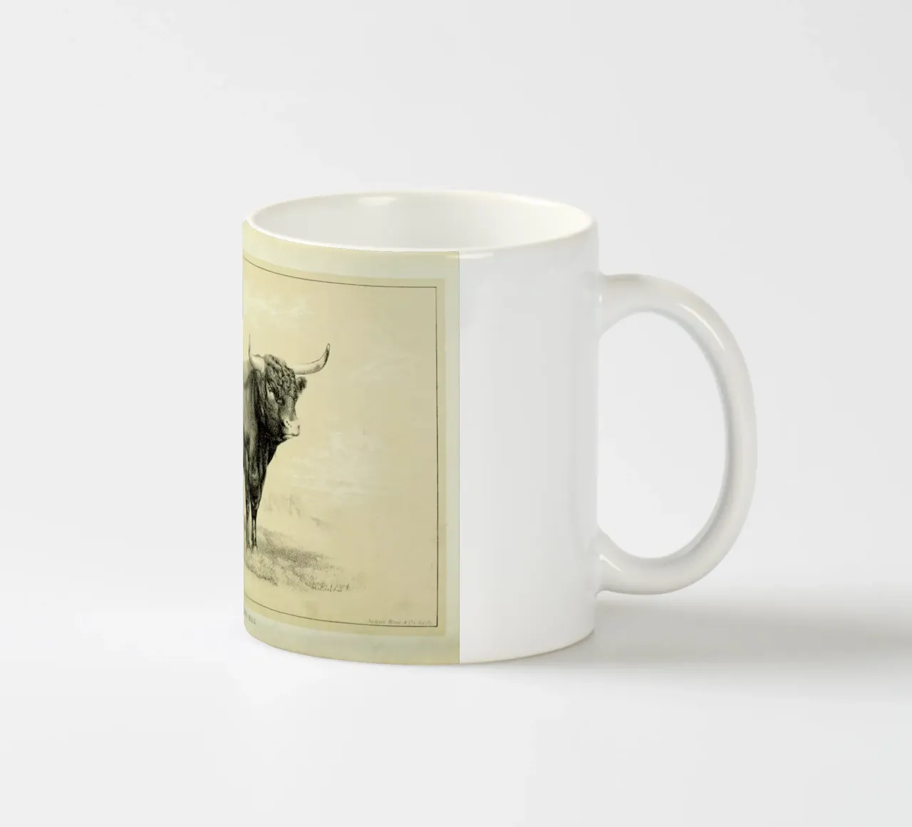 West Highland Bull tazza in ceramica da Flora & Fauna