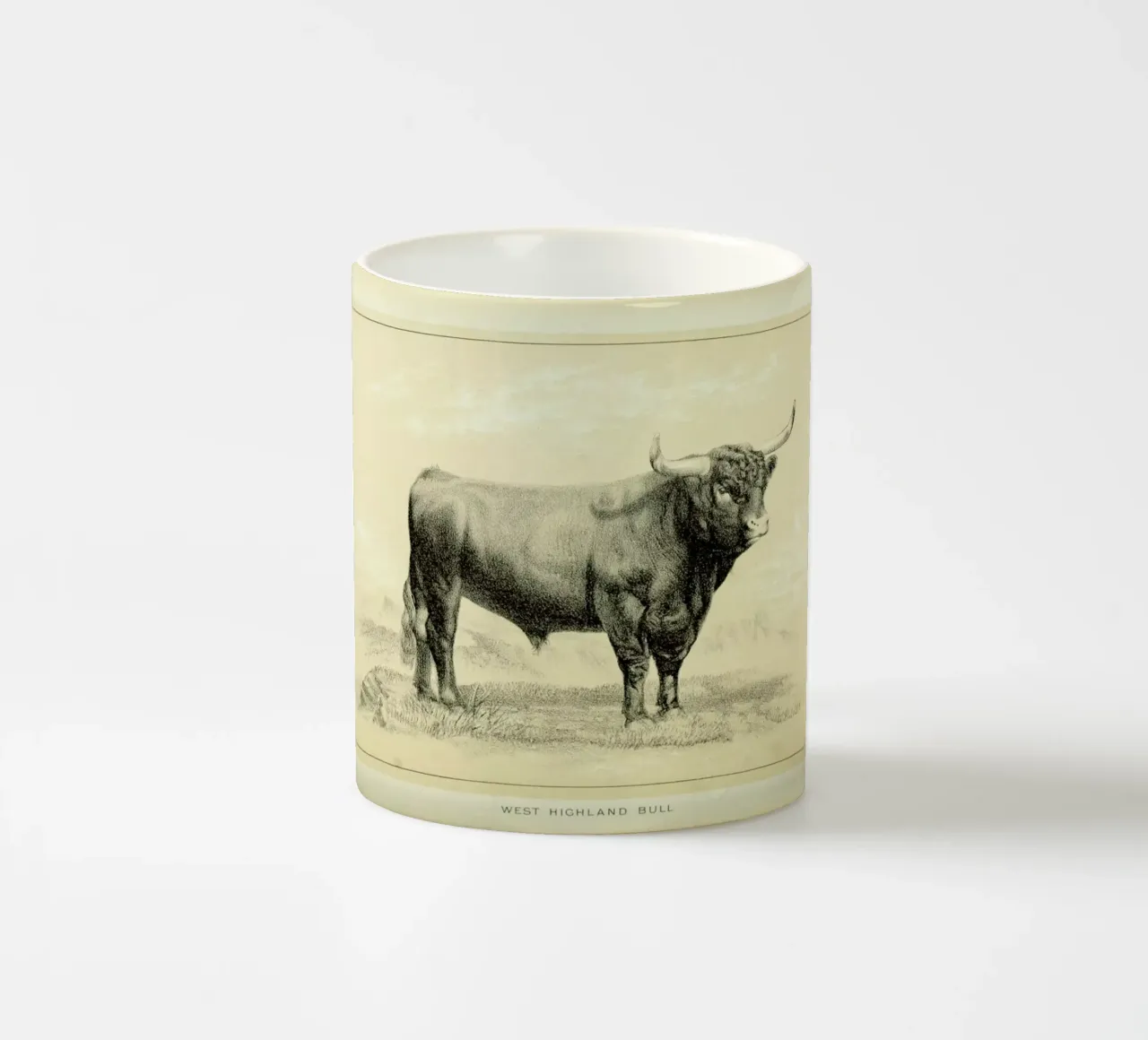 West Highland Bull tazza in ceramica da Flora & Fauna