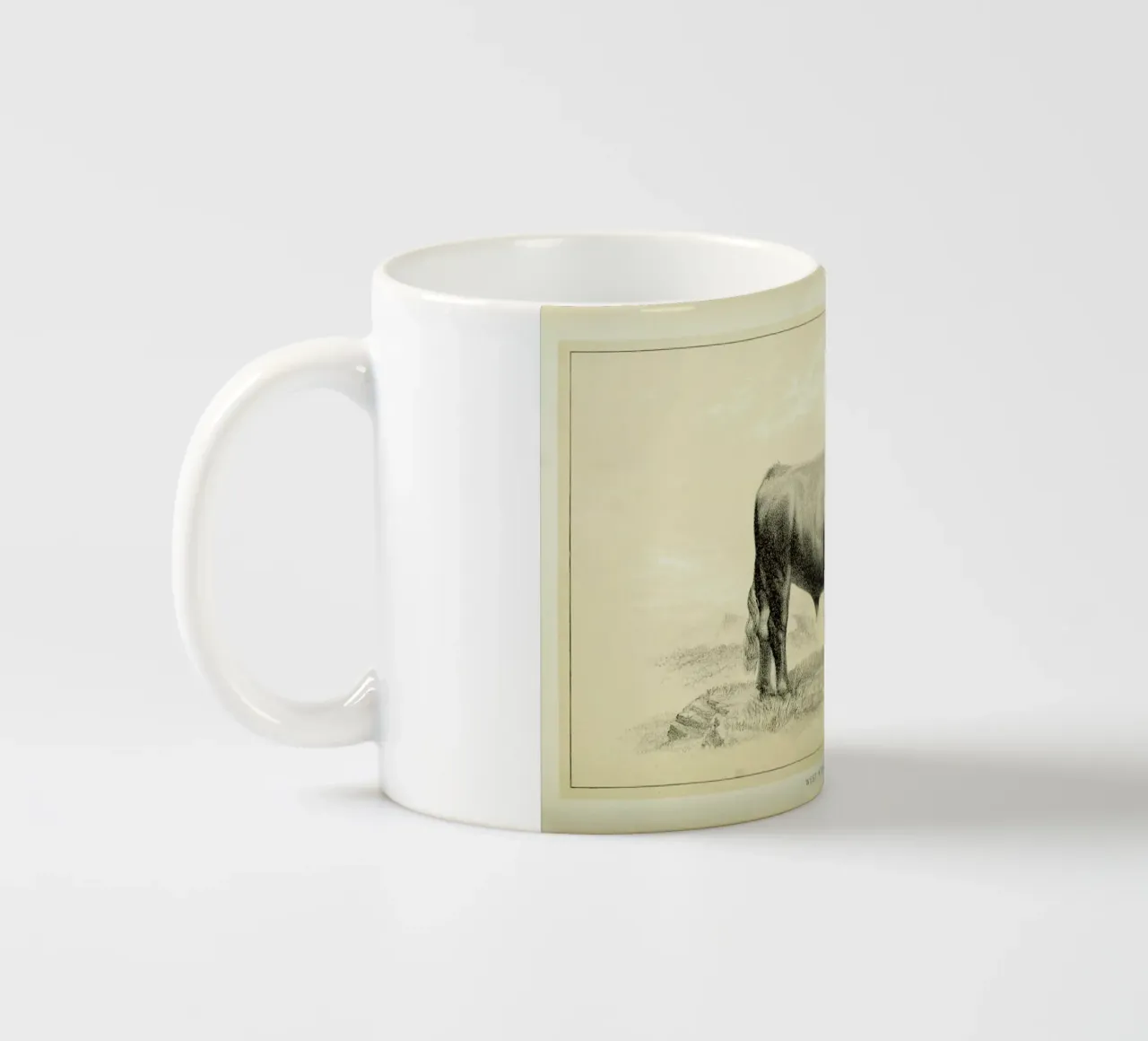 West Highland Bull tazza in ceramica da Flora & Fauna