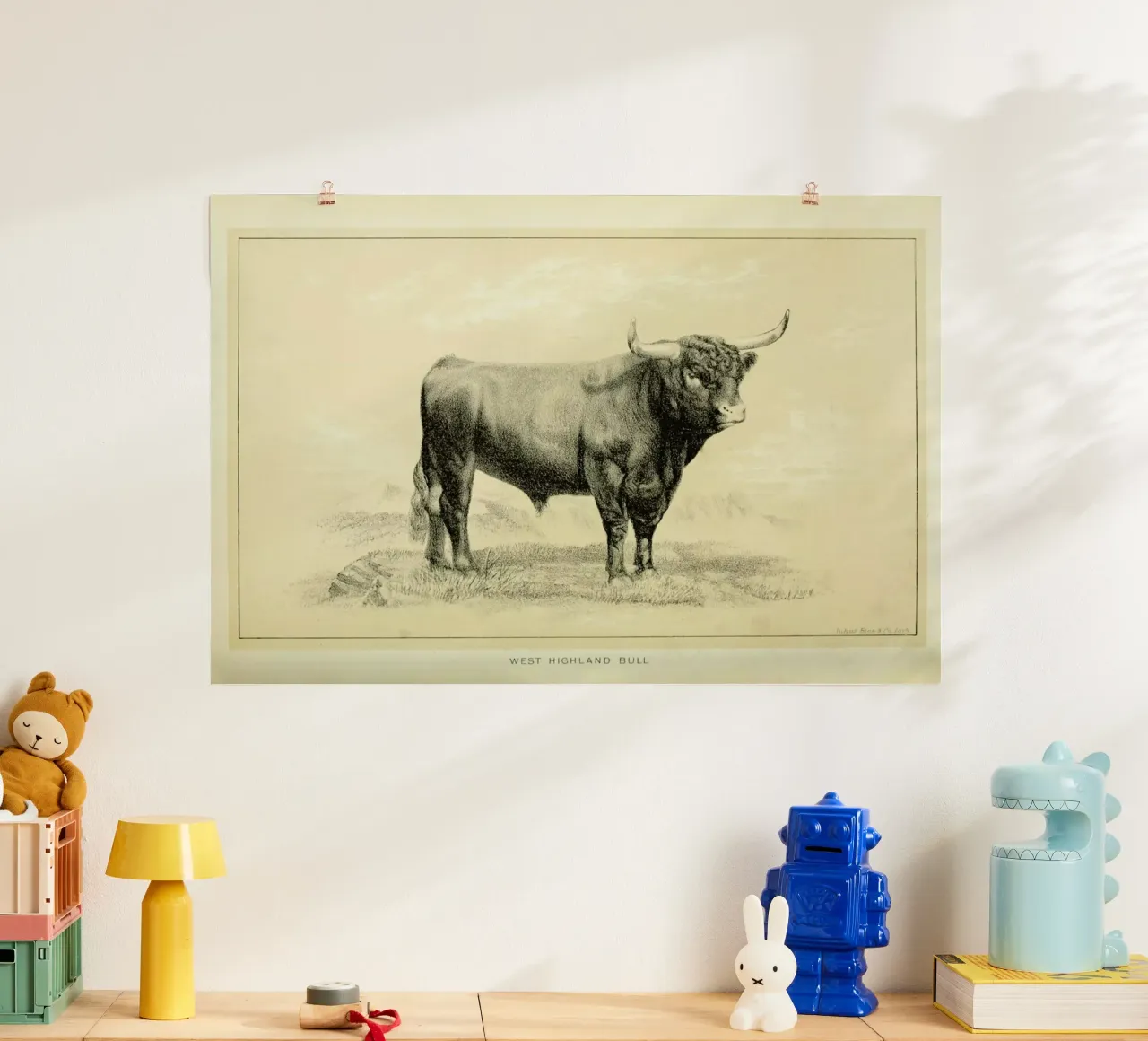West Highland Bull hahnemühle by Flora & Fauna