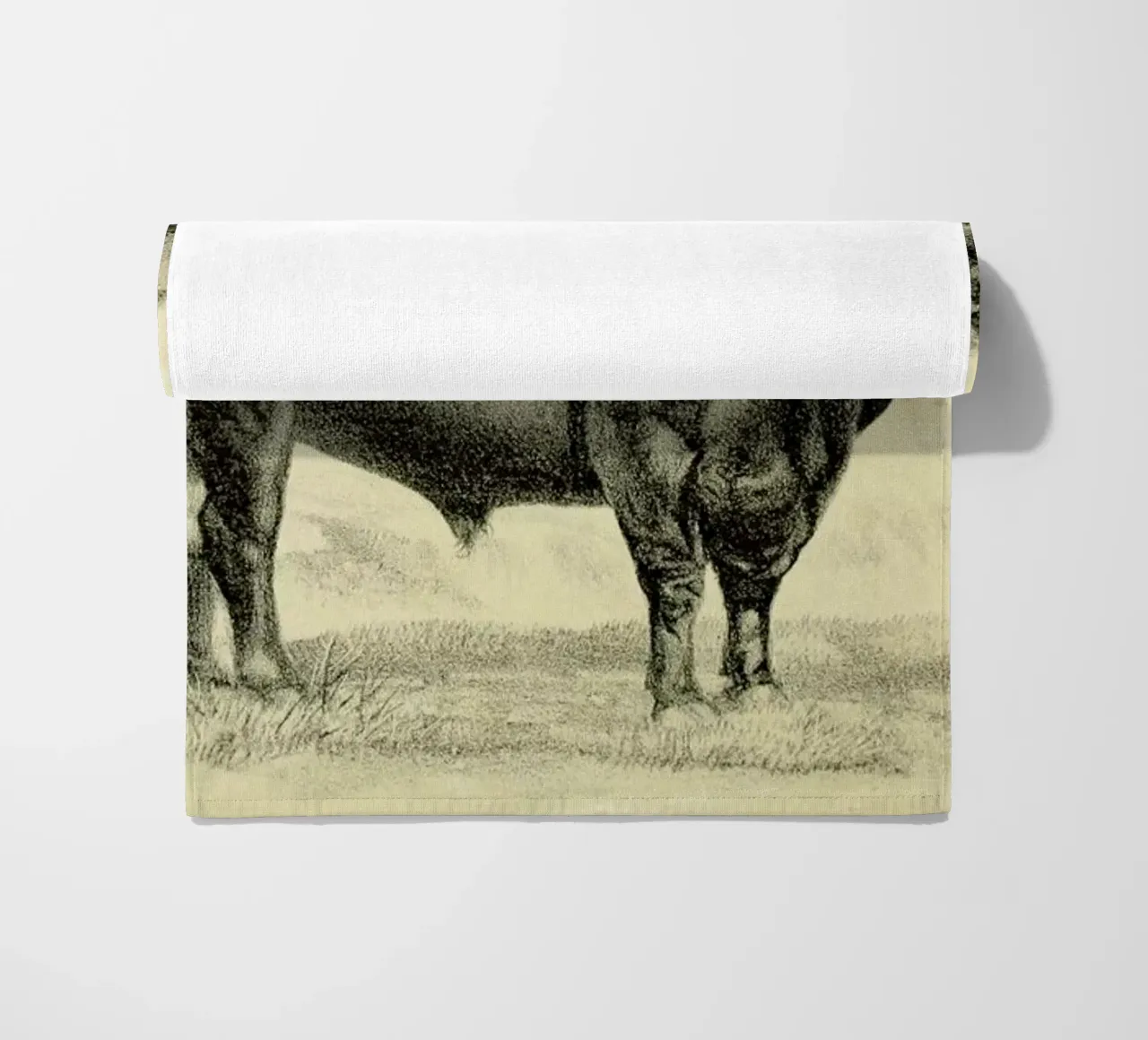 West Highland Bull beach towel by Flora & Fauna