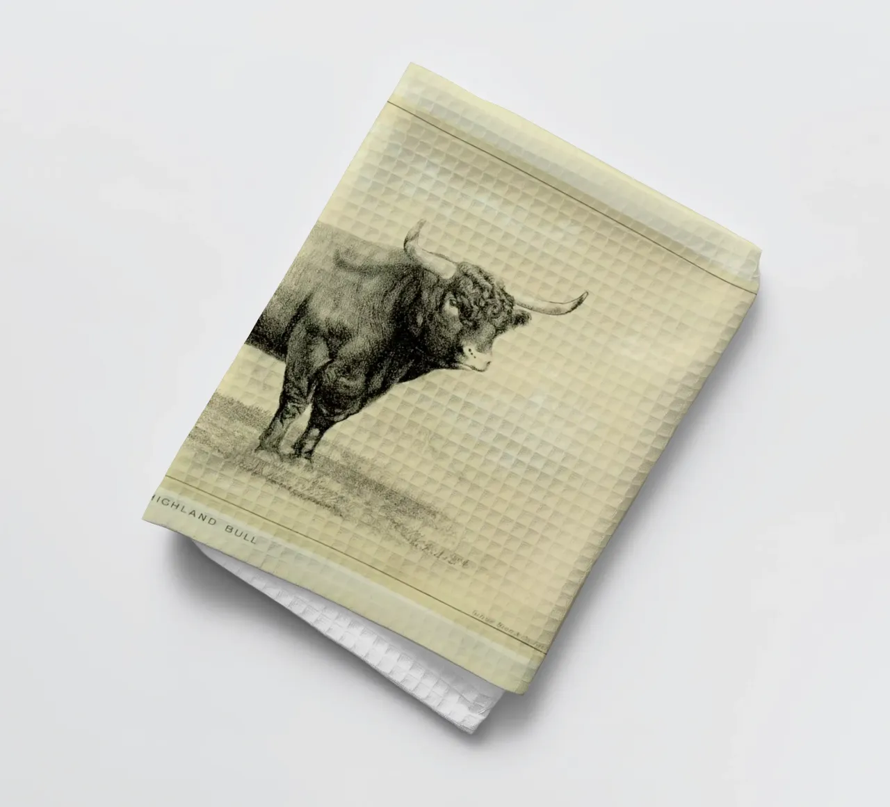 West Highland Bull canovaccio da cucina da Flora & Fauna