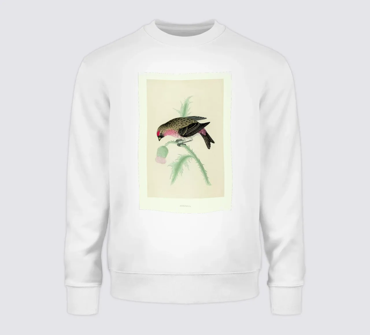 Redpole Bird felpa da Flora & Fauna