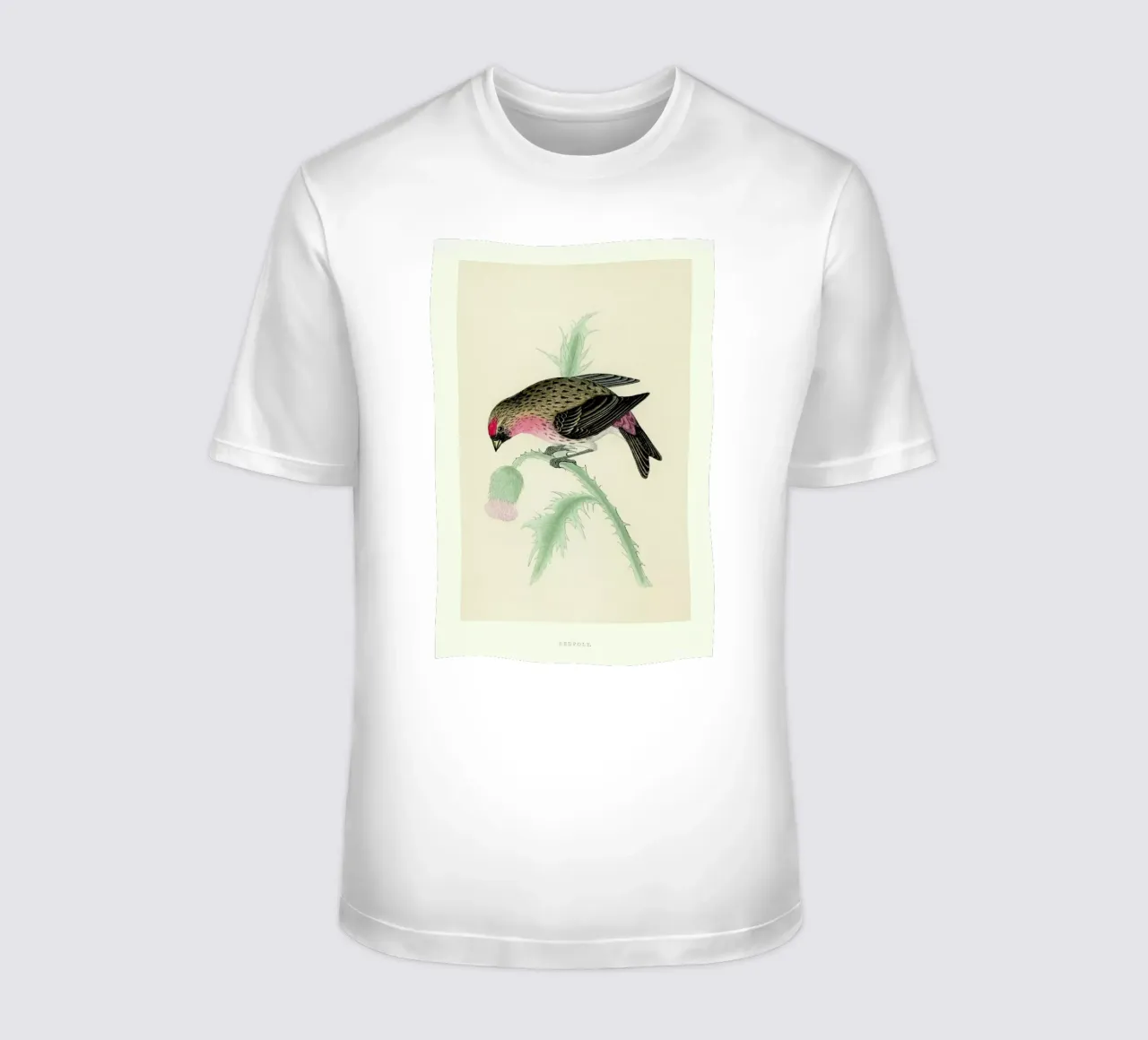 Redpole Bird t-shirt da Flora & Fauna