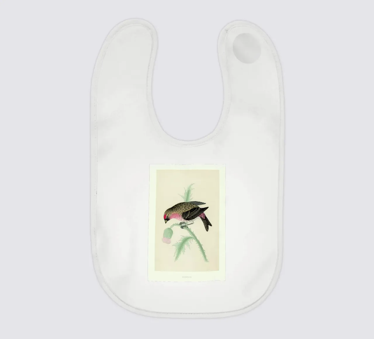 Redpole Bird bavaglino da Flora & Fauna