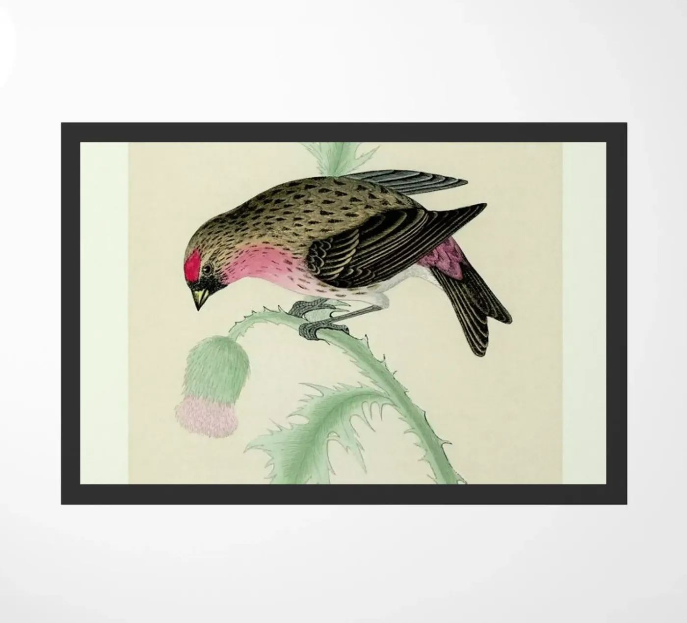 Redpole Bird doormat by Flora & Fauna