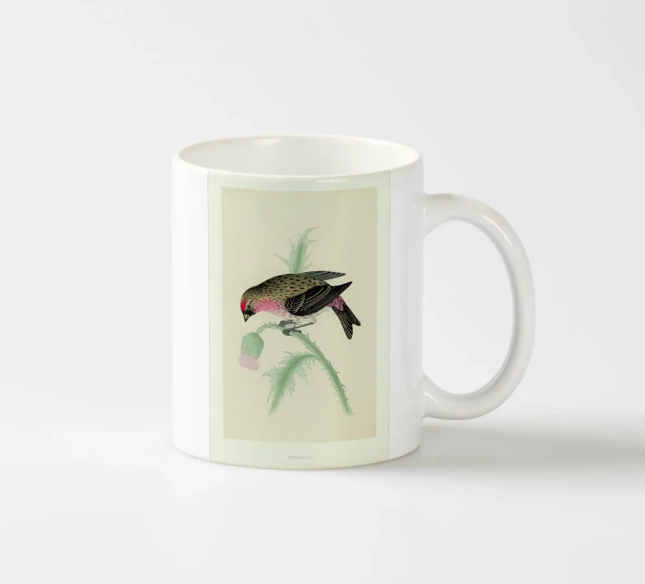 Redpole Bird tazza in ceramica da Flora & Fauna