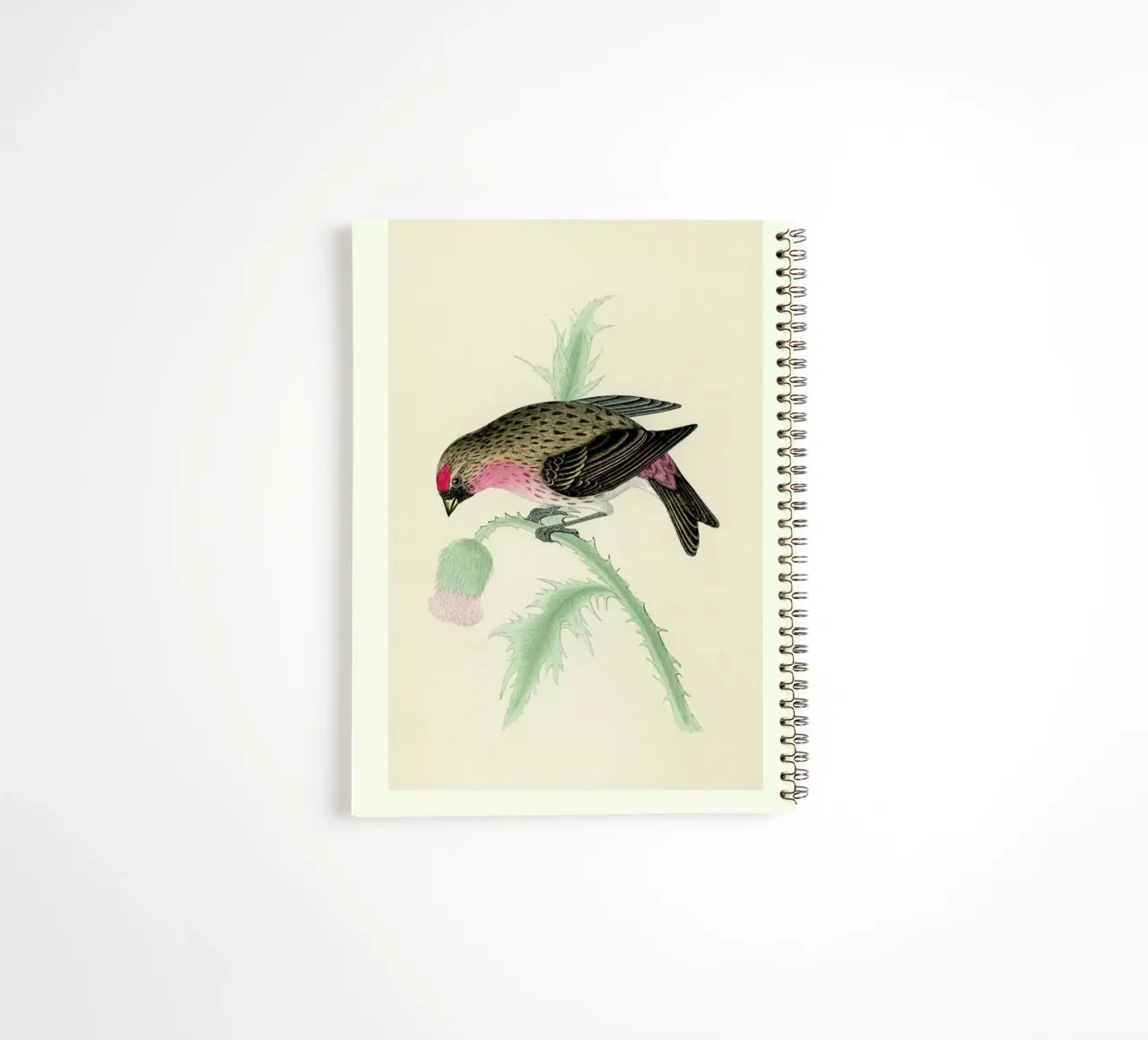 Redpole Bird spiral notebook by Flora & Fauna