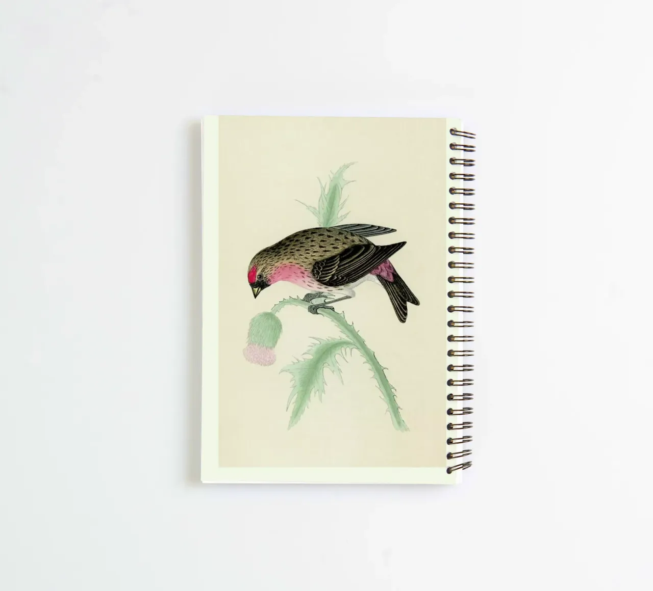 Redpole Bird spiral notebook by Flora & Fauna