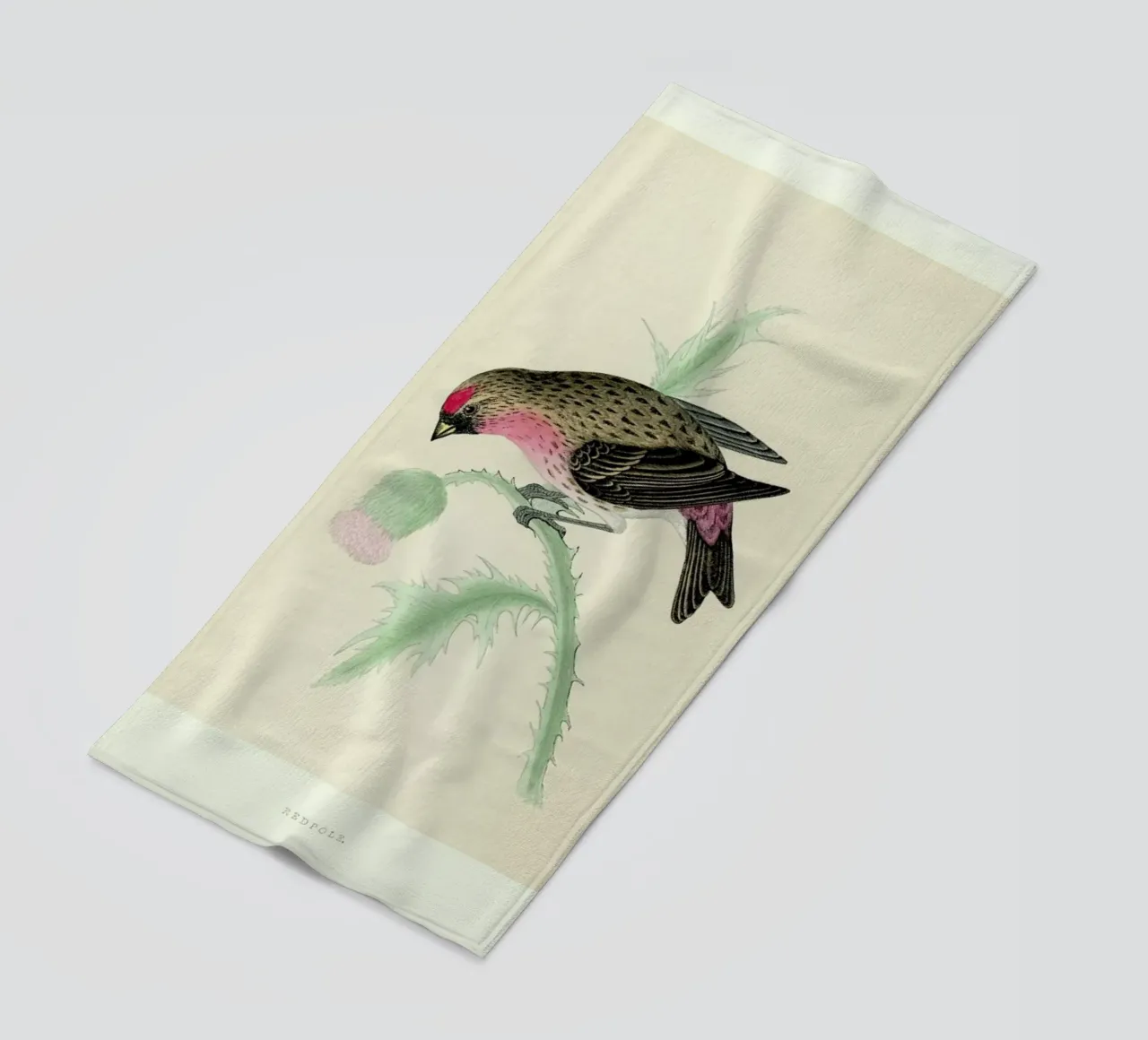 Redpole Bird telo mare da Flora & Fauna