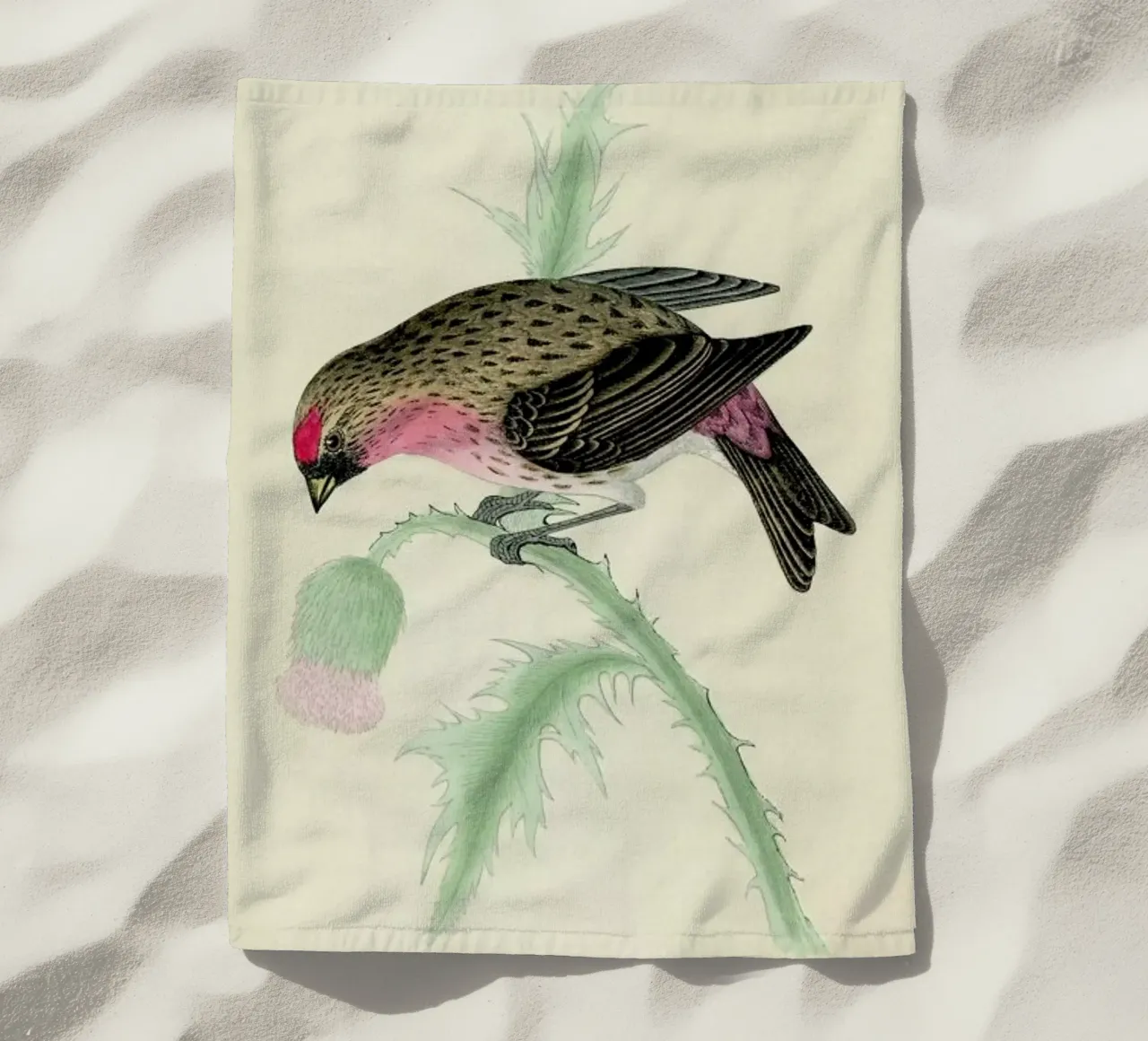 Redpole Bird telo mare da Flora & Fauna