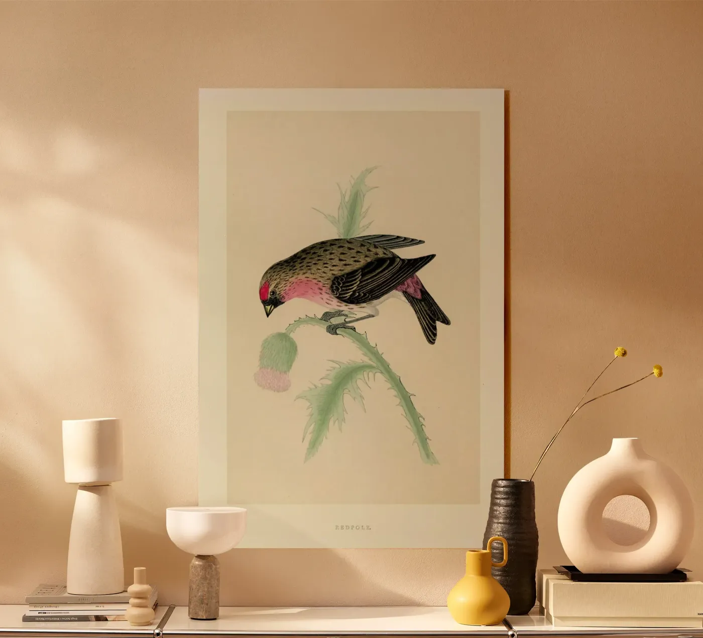 Redpole Bird acryl van Flora & Fauna