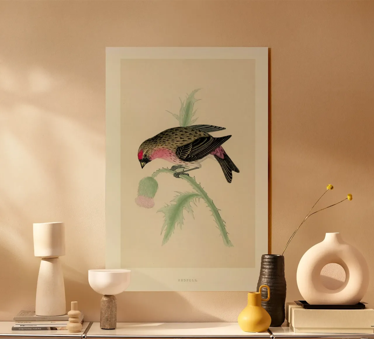 Redpole Bird plexiglass da Flora & Fauna