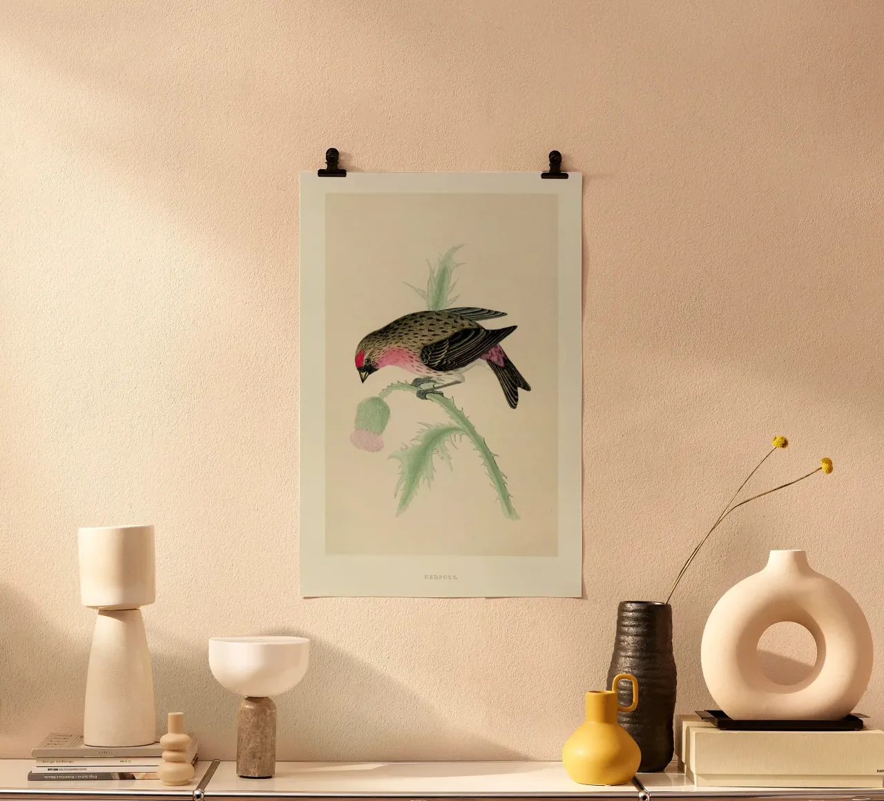 Redpole Bird carta hahnemühle da Flora & Fauna