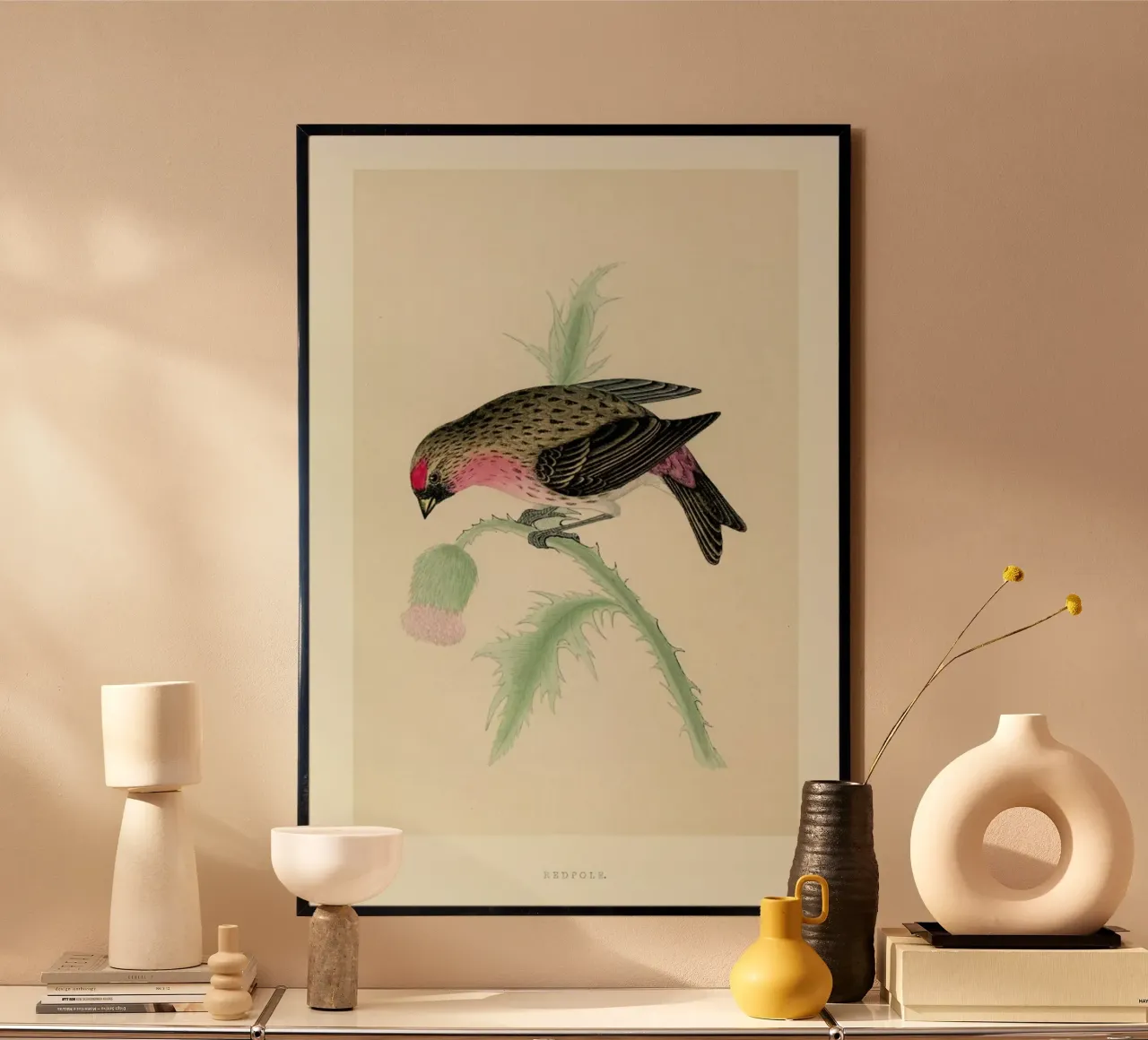 Redpole Bird carta hahnemühle da Flora & Fauna