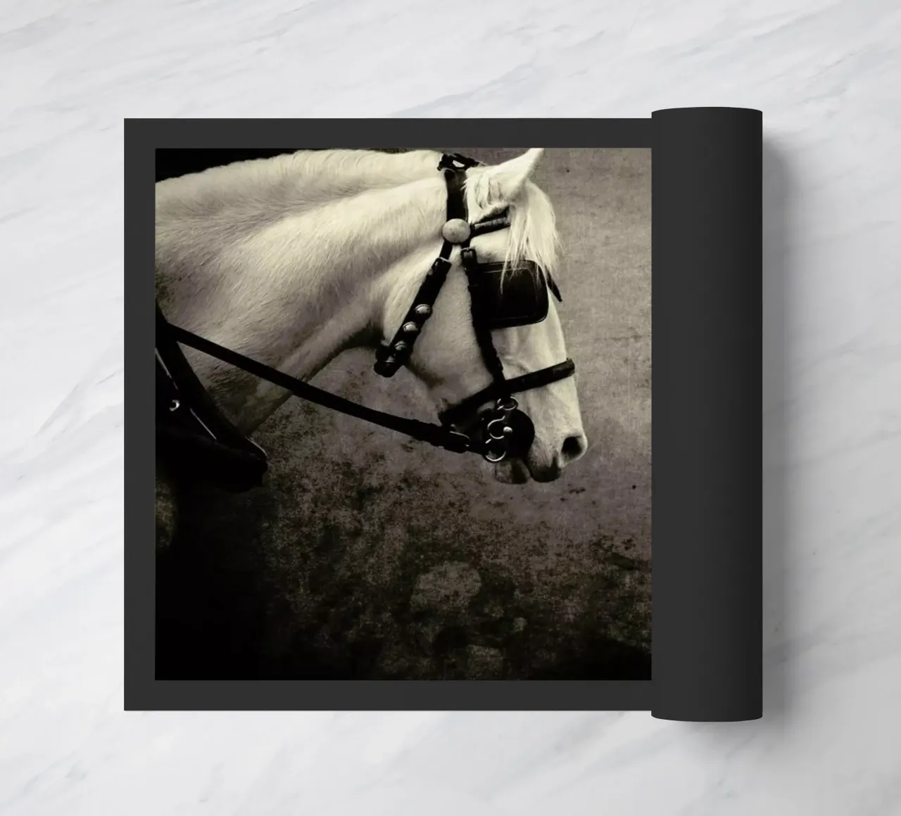 pa 2012-05 zerbino da Sarolta Bán