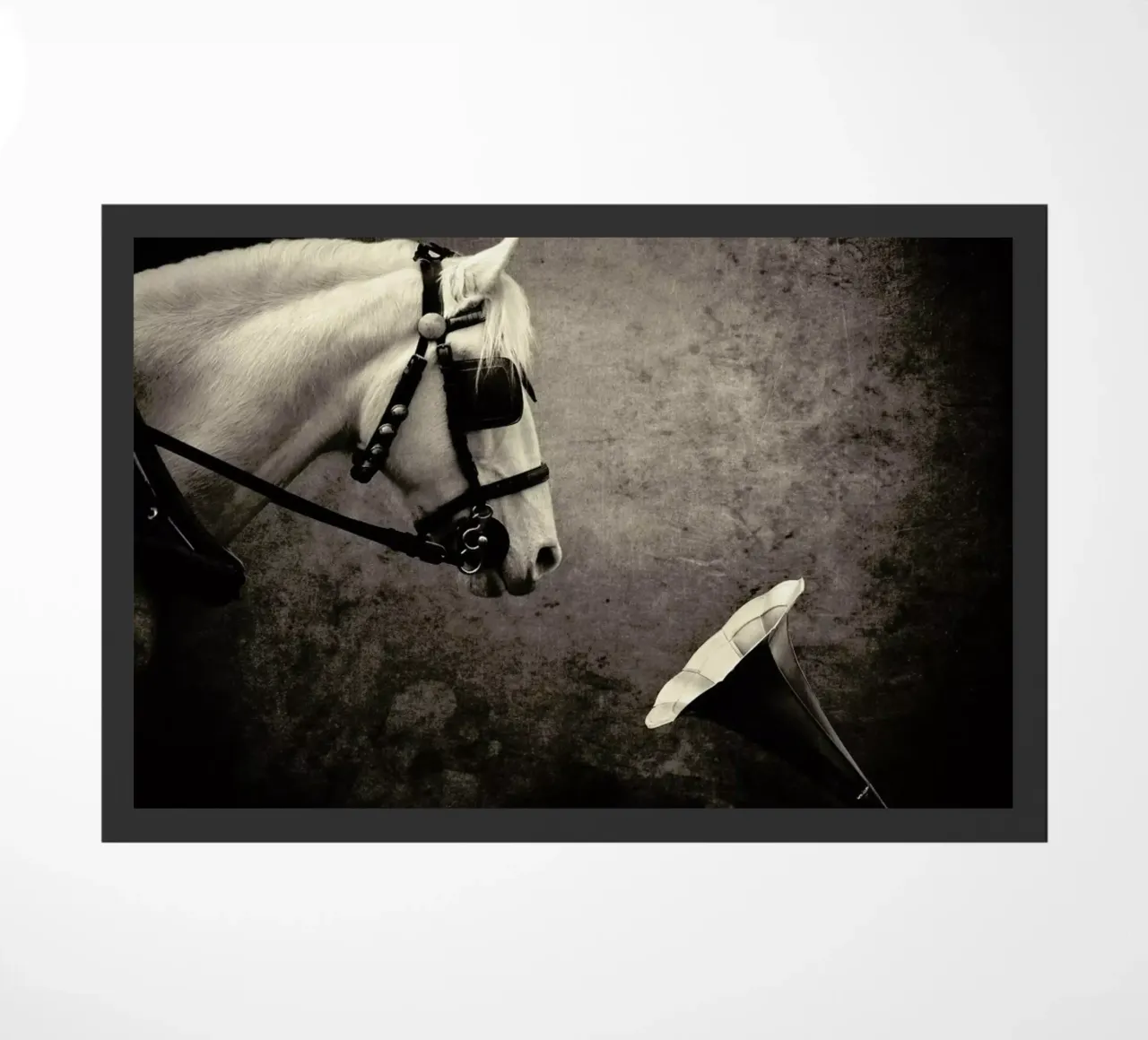 pa 2012-05 zerbino da Sarolta Bán