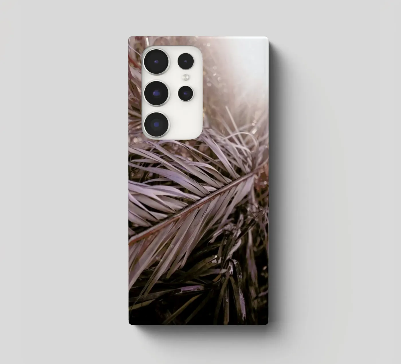 Bleached Palms cover samsung da Chris Abatzis
