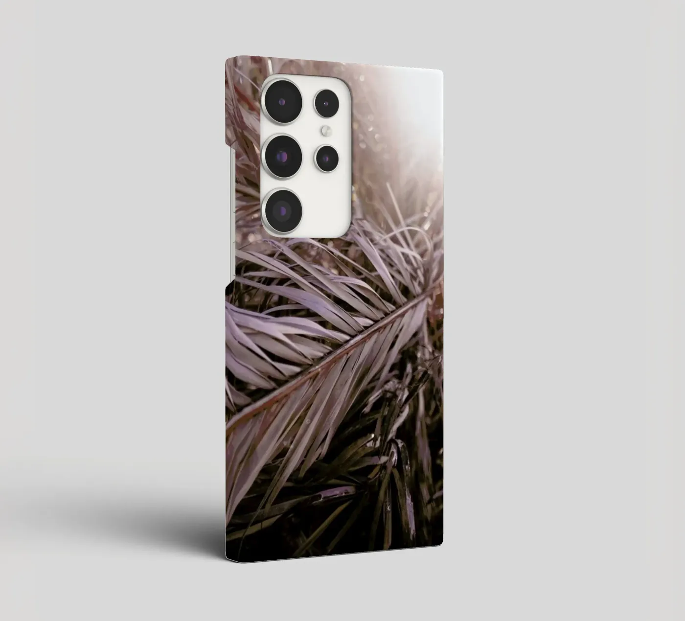 Bleached Palms cover samsung da Chris Abatzis