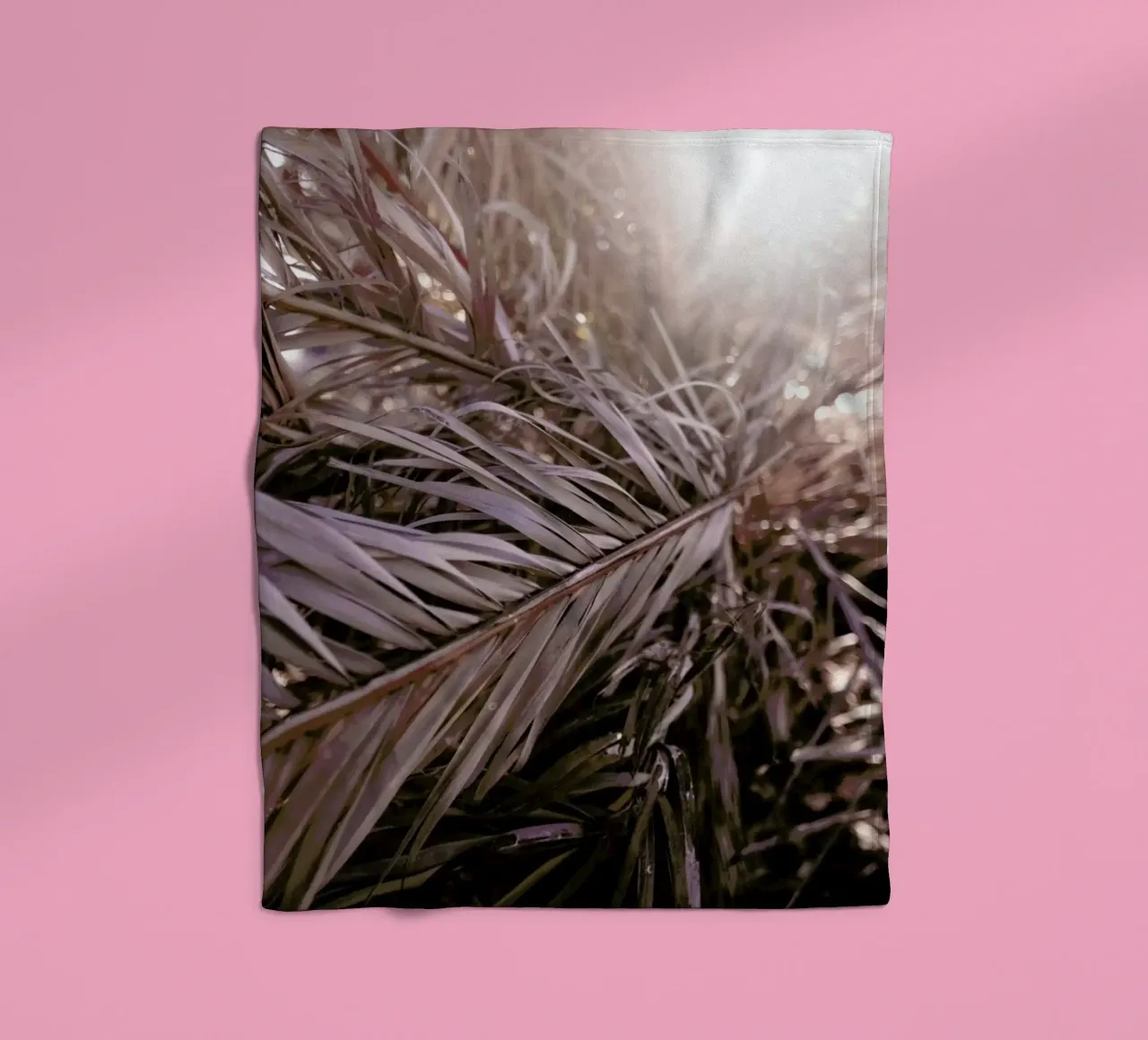 Bleached Palms coperta in pile da Chris Abatzis