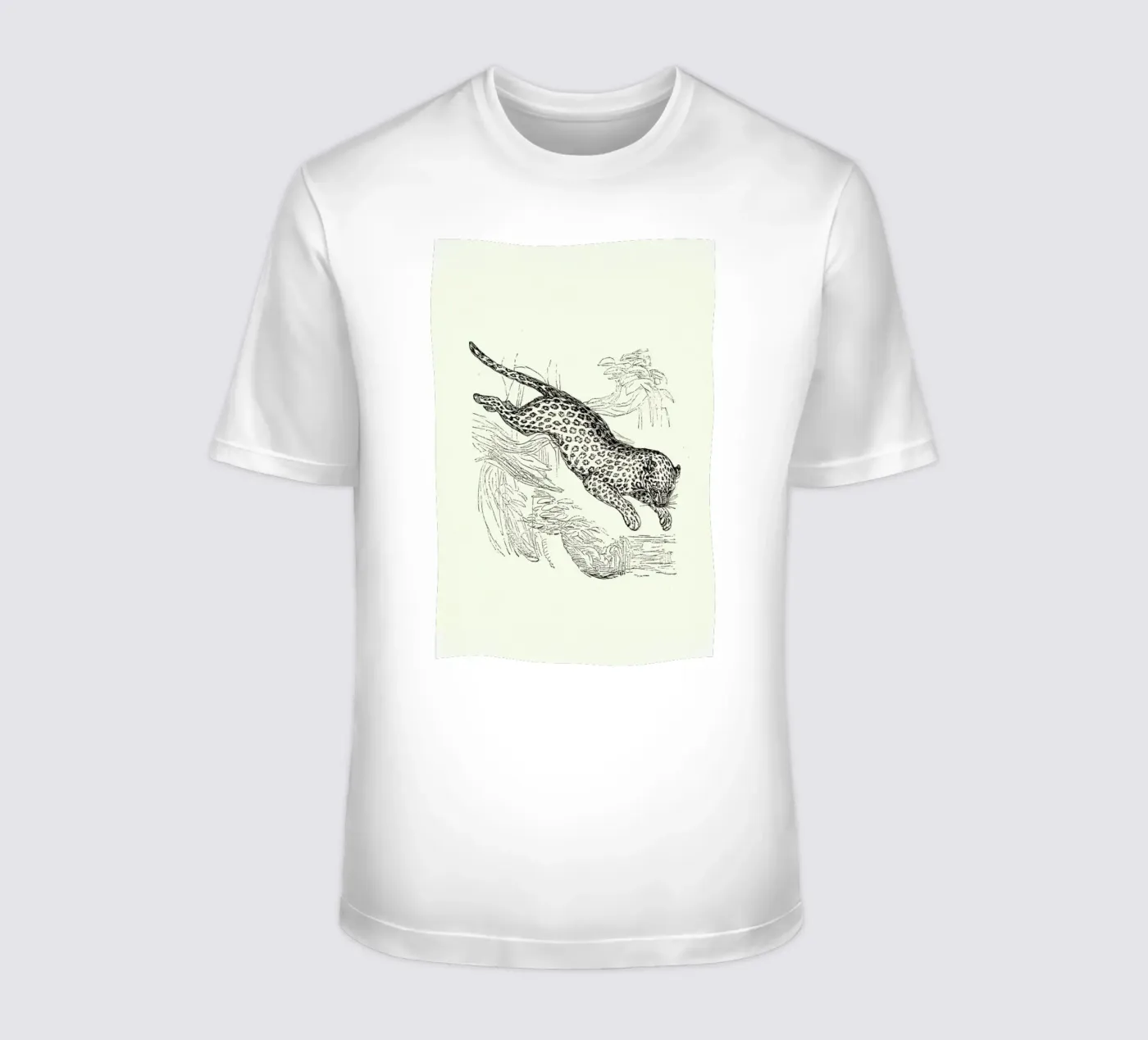 Leopard t-shirt da Flora & Fauna