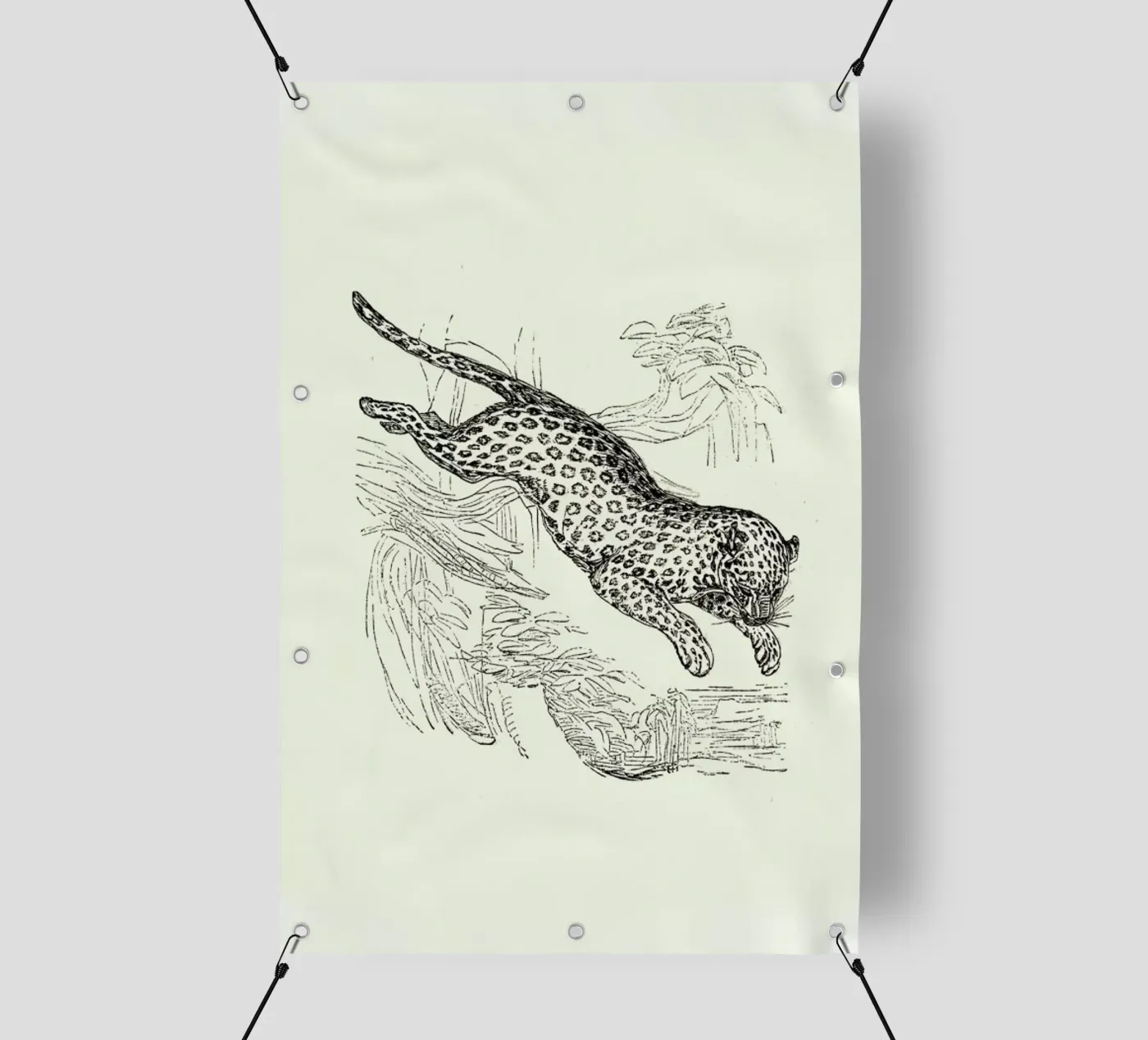 Leopard PVC Plane von Flora & Fauna