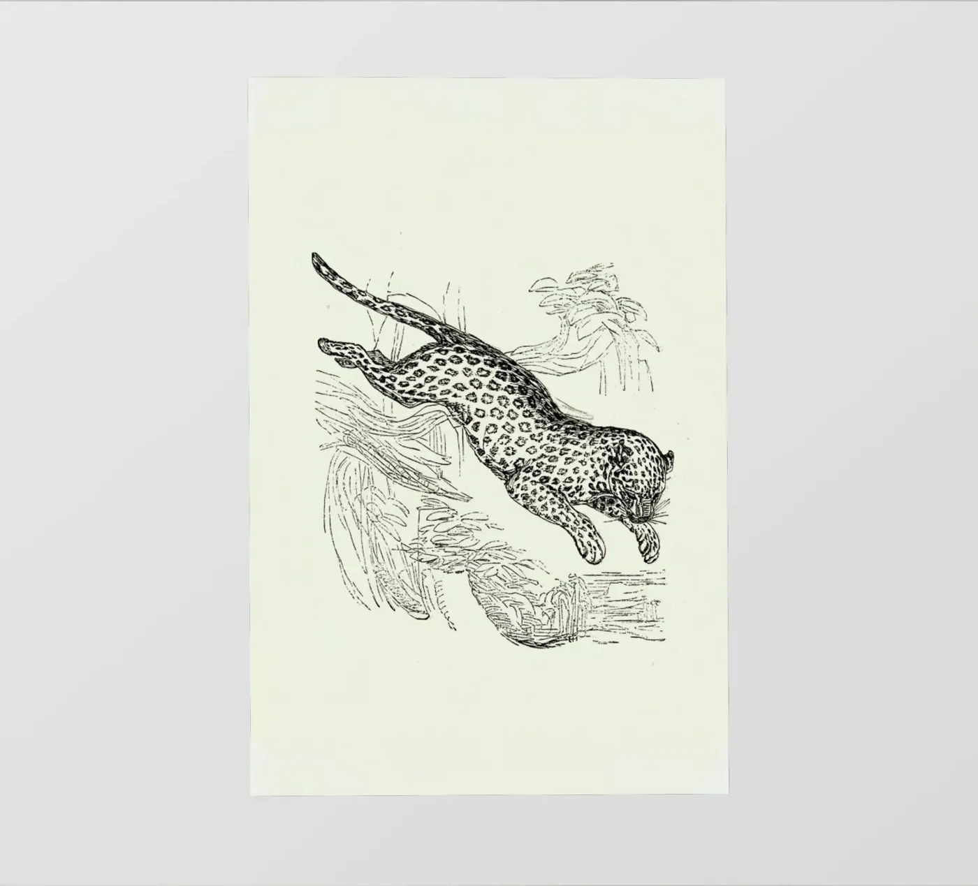 Leopard PVC Plane von Flora & Fauna