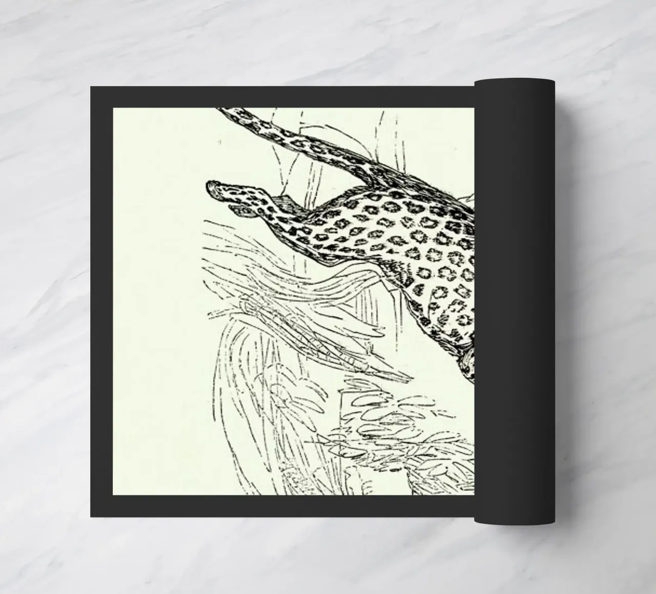 Leopard zerbino da Flora & Fauna