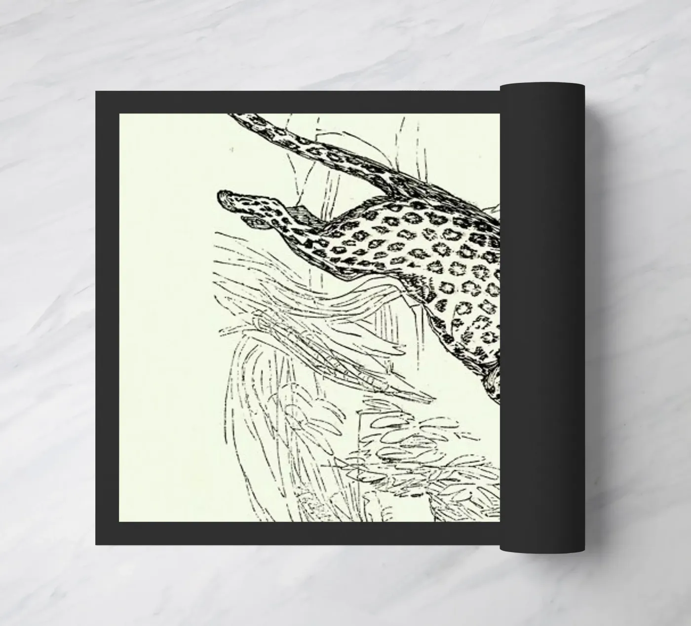 Leopard zerbino da Flora & Fauna