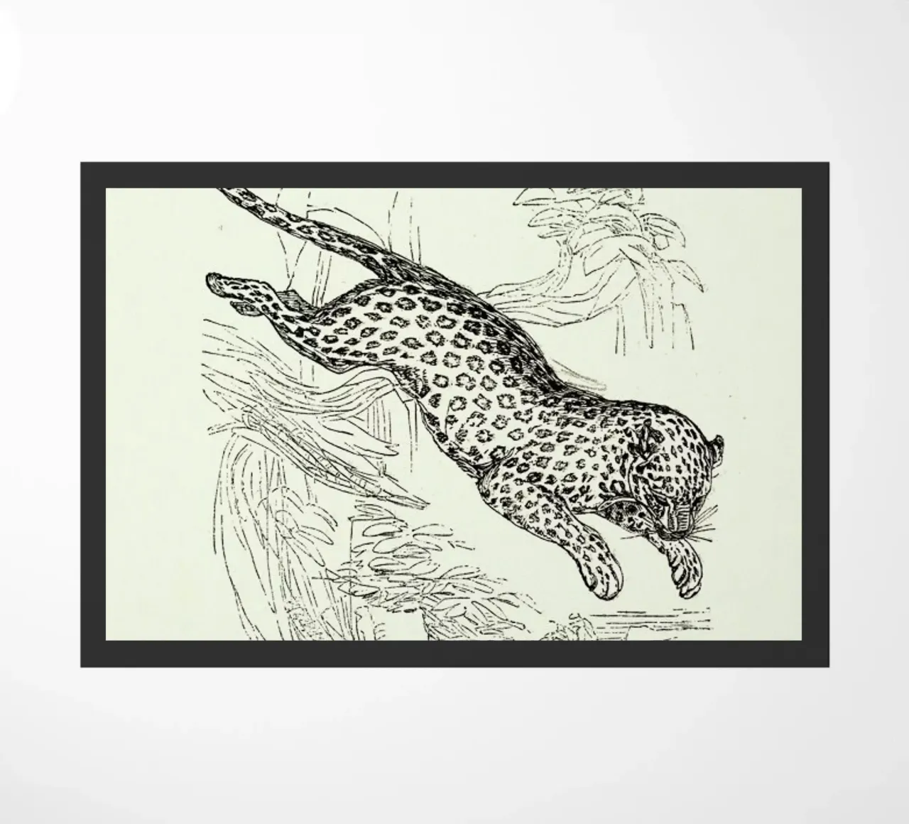 Leopard zerbino da Flora & Fauna