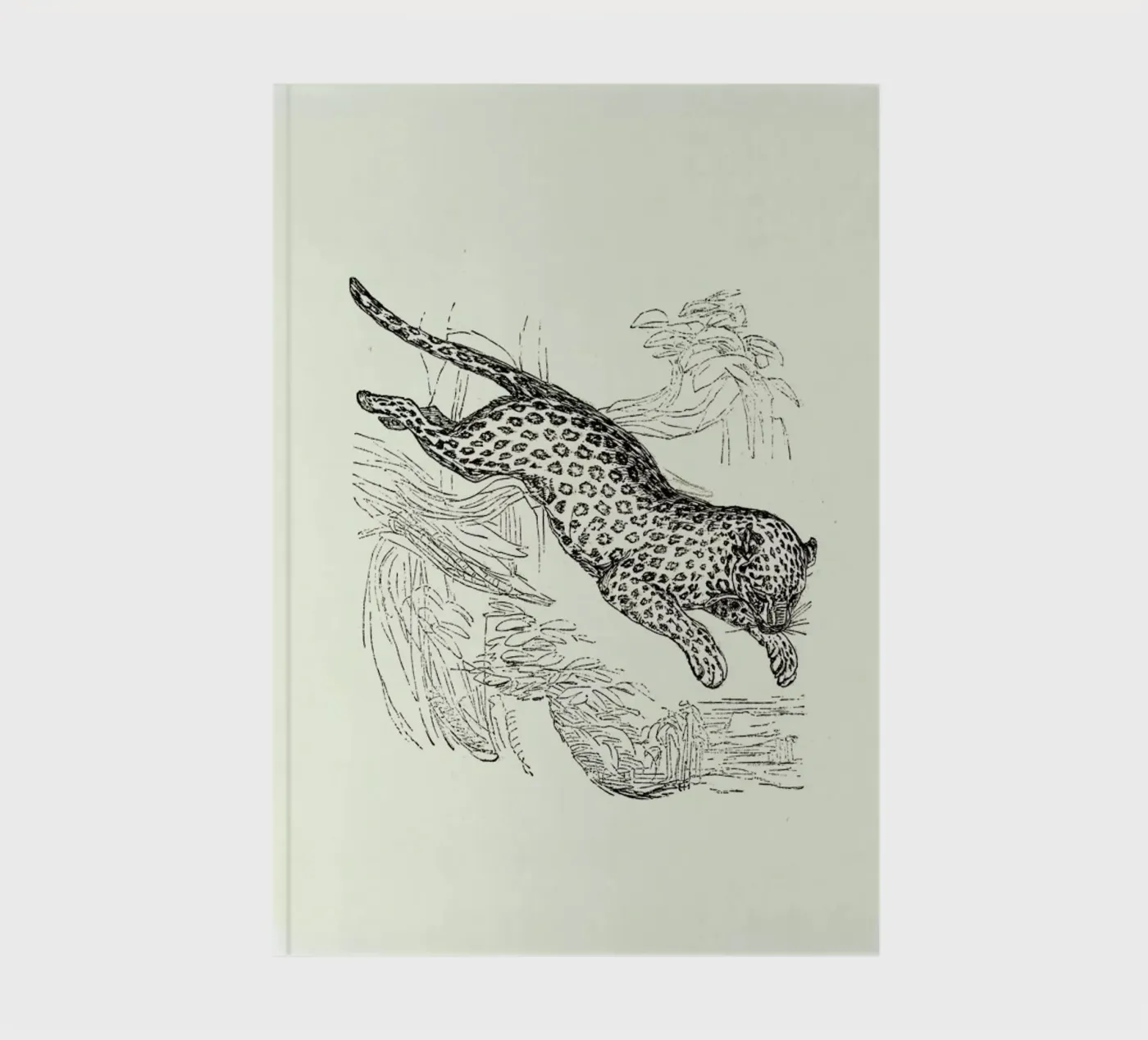 Leopard quaderno da Flora & Fauna