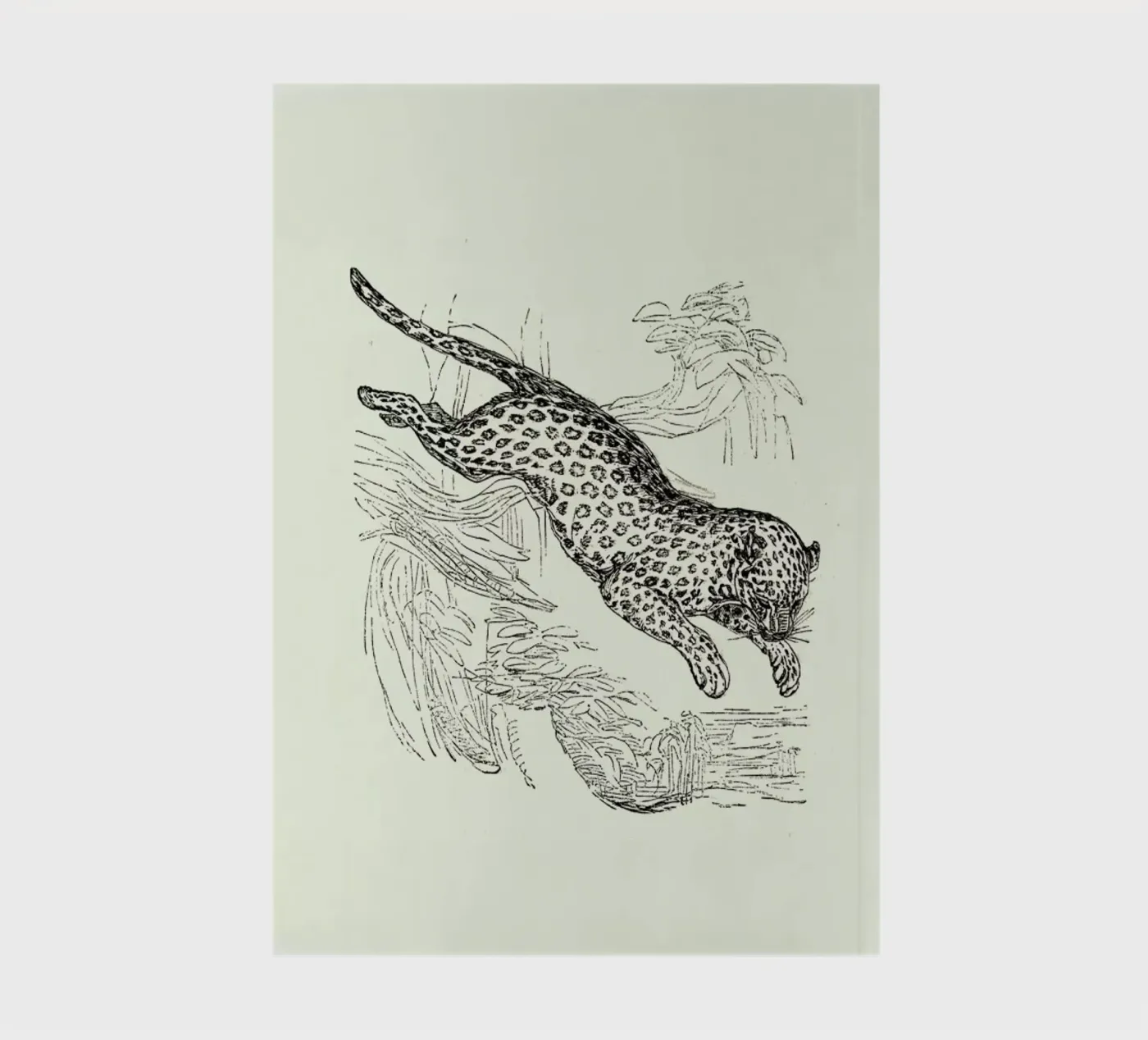 Leopard quaderno da Flora & Fauna